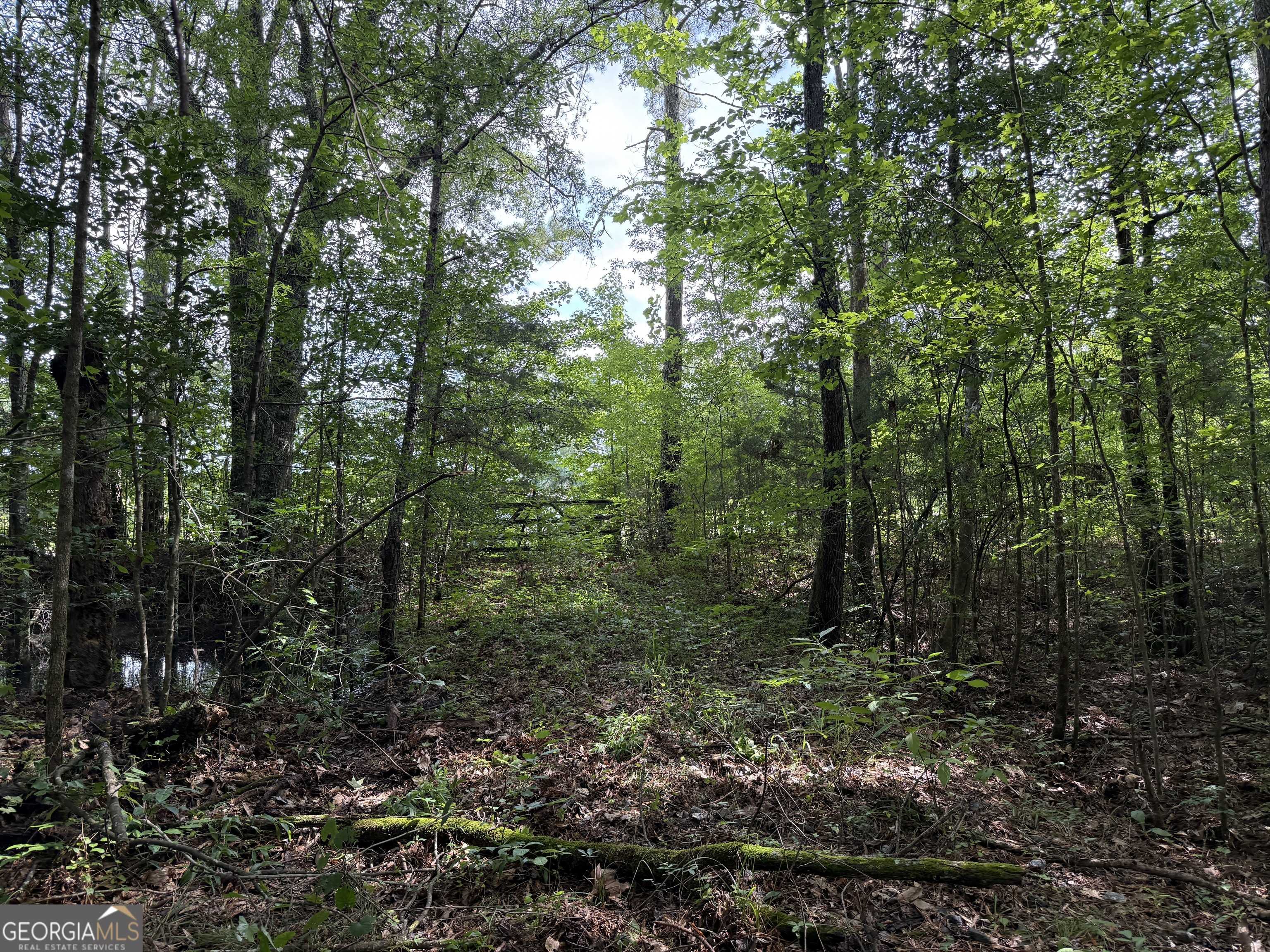 Roberta, GA 31078,8 ACRES Us Highway 80 W #LOT 2