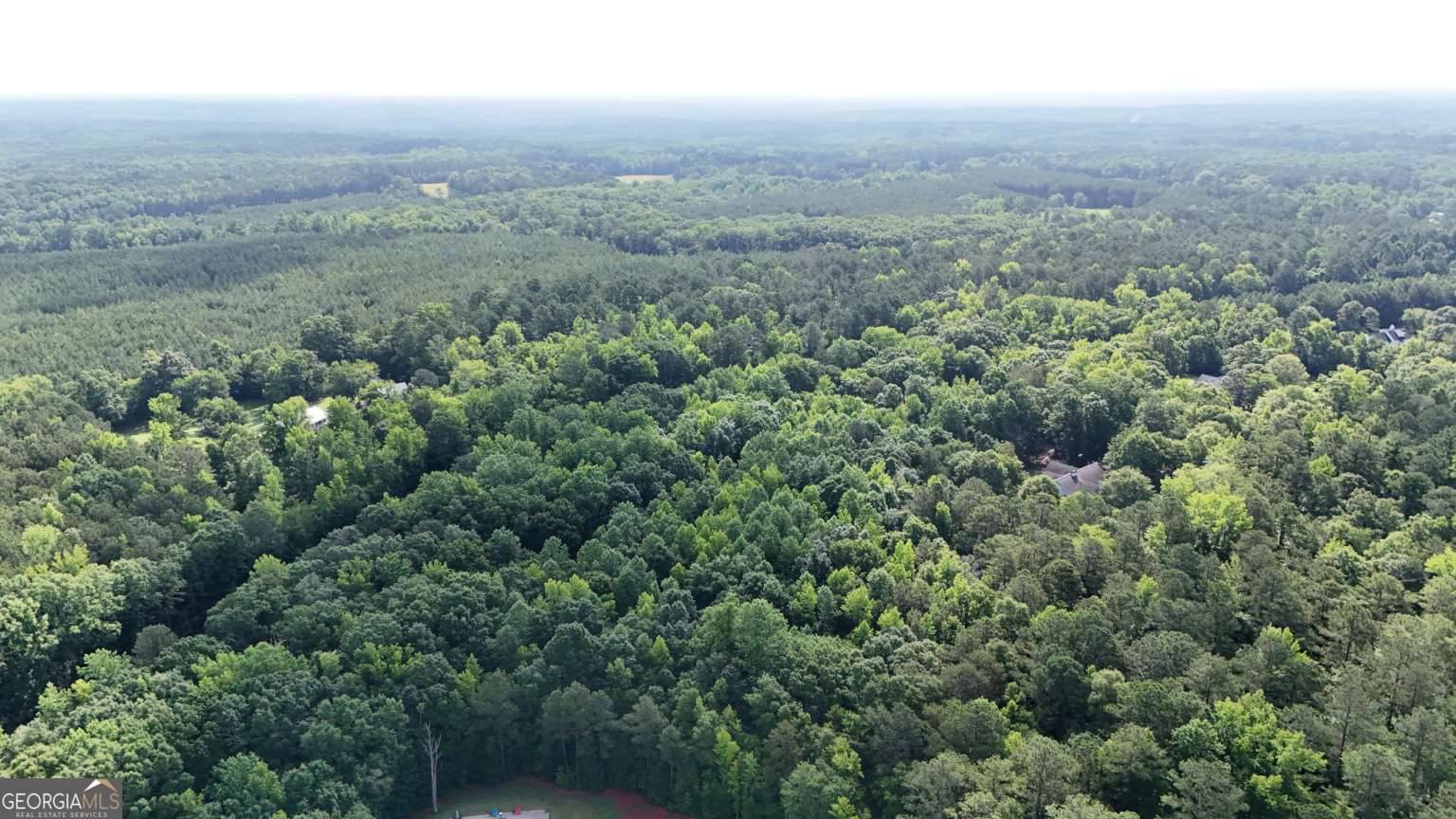 Social Circle, GA 30025,LOT #4 Hawkins Academy RD