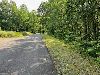 Brasstown, NC 28902,LOT 10 Trillium Heights