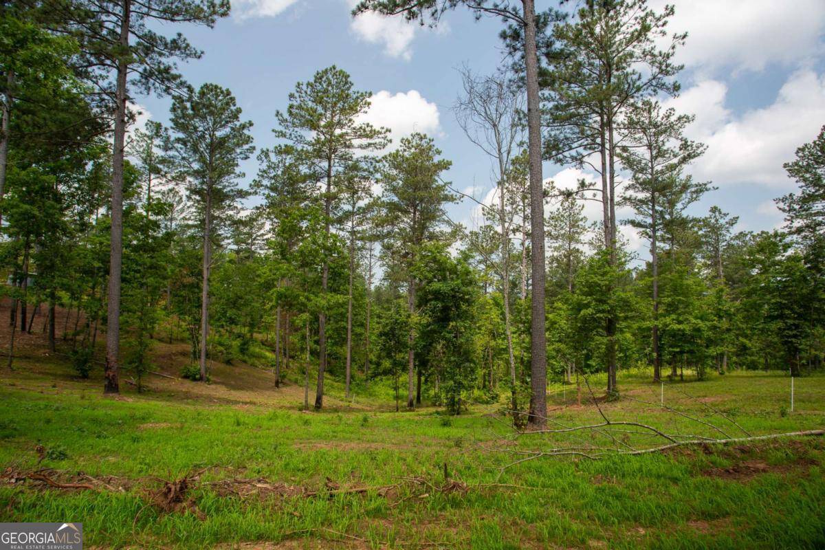 Dahlonega, GA 30533,6480 Highway 52 W