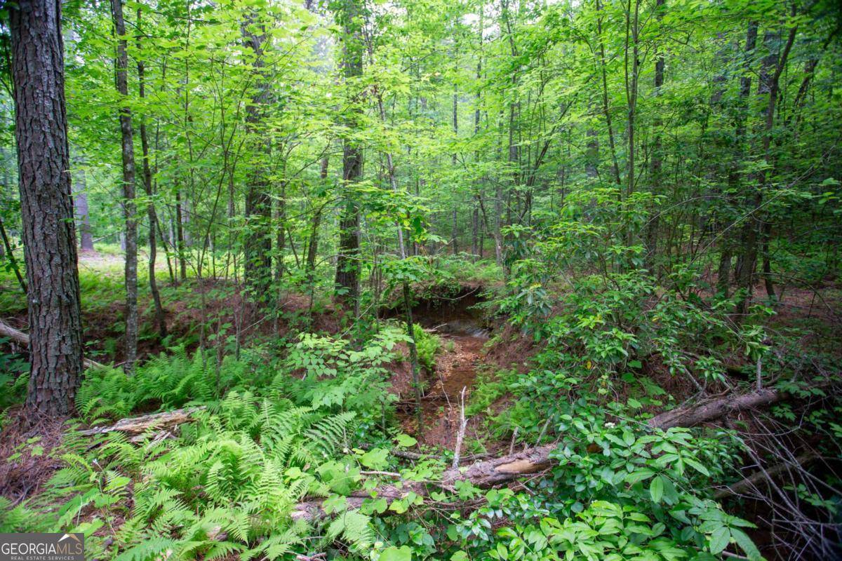 Dahlonega, GA 30533,6480A Highway 52 W