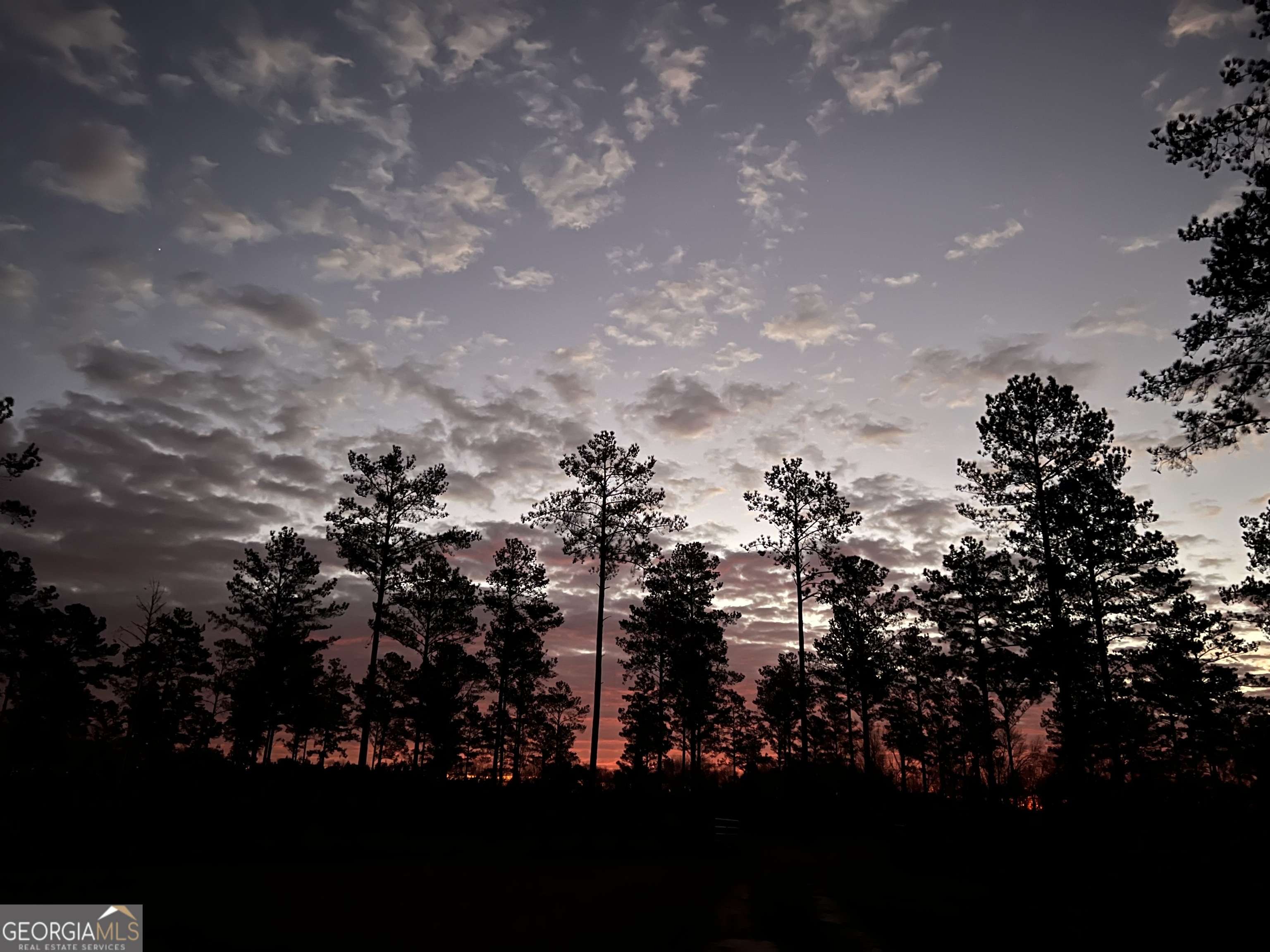 Elko, GA 31025,335 Highway 26