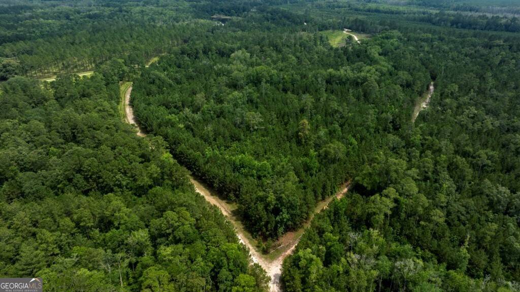 Midway, GA 31320,0 Luke & Habersham Roads