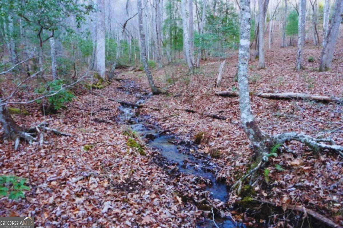 Hayesville, NC 28904,LT 23 Shelton Springs S/D