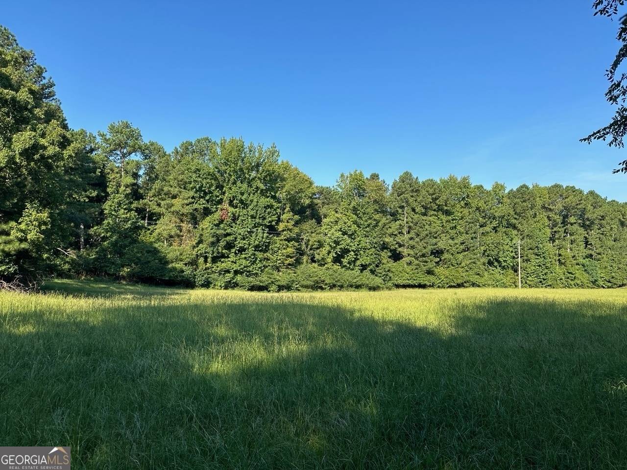 Greensboro, GA 30642,1661 Walker Church RD