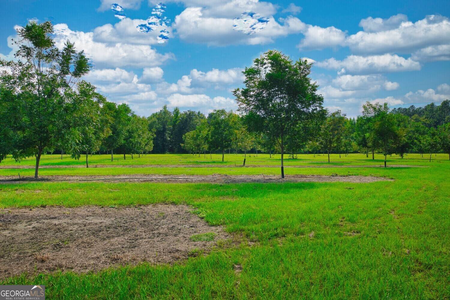 Baconton, GA 31705,0 Gravel Hill Rd.