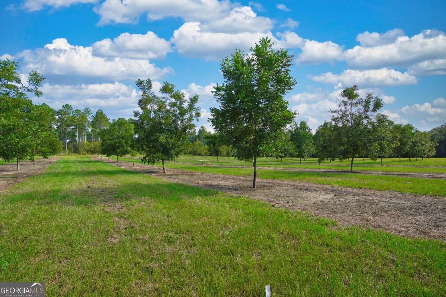 Baconton, GA 31705,0 Gravel Hill Rd.