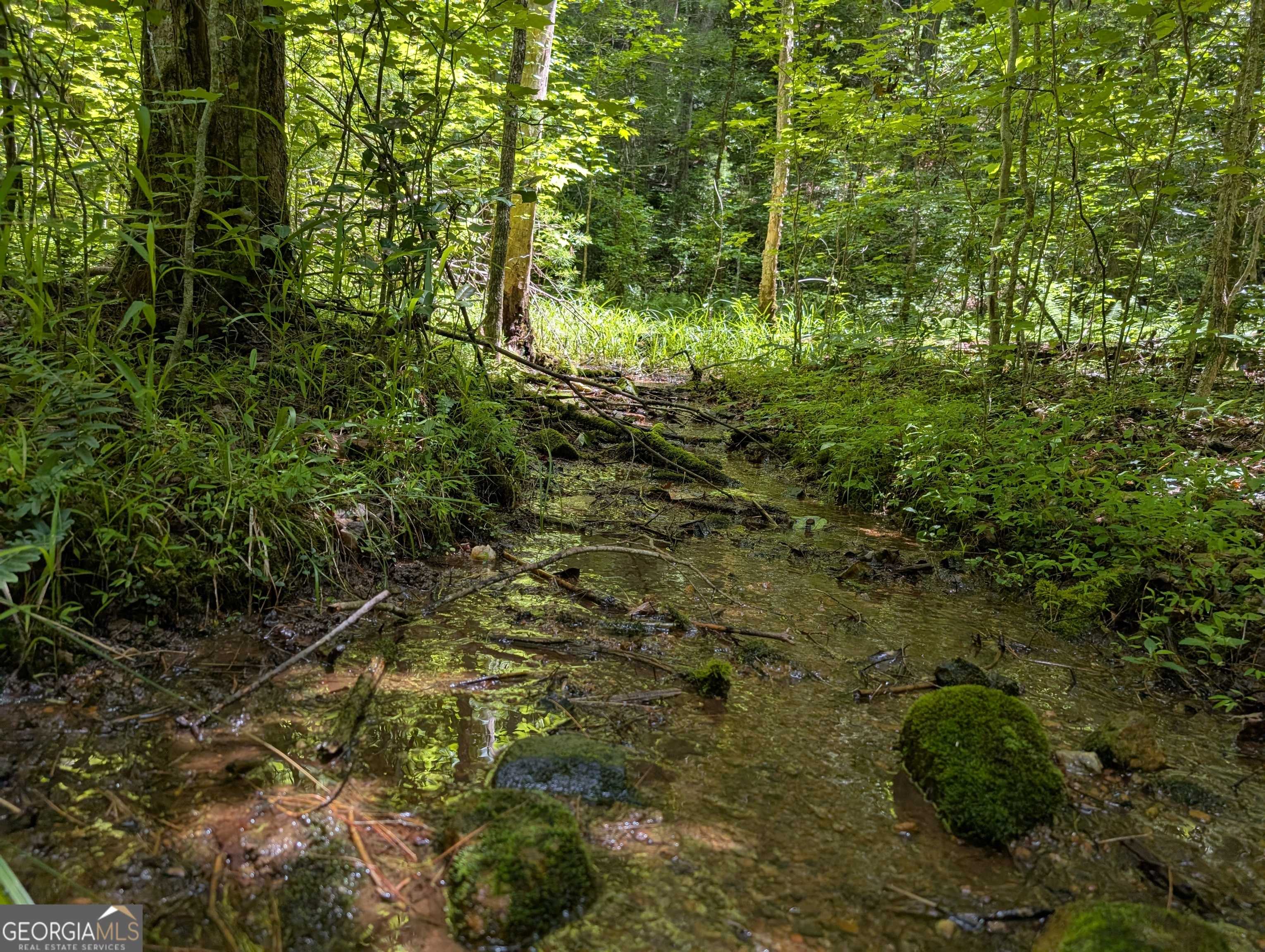 Dahlonega, GA 30533,0 Camp Wahsega RD