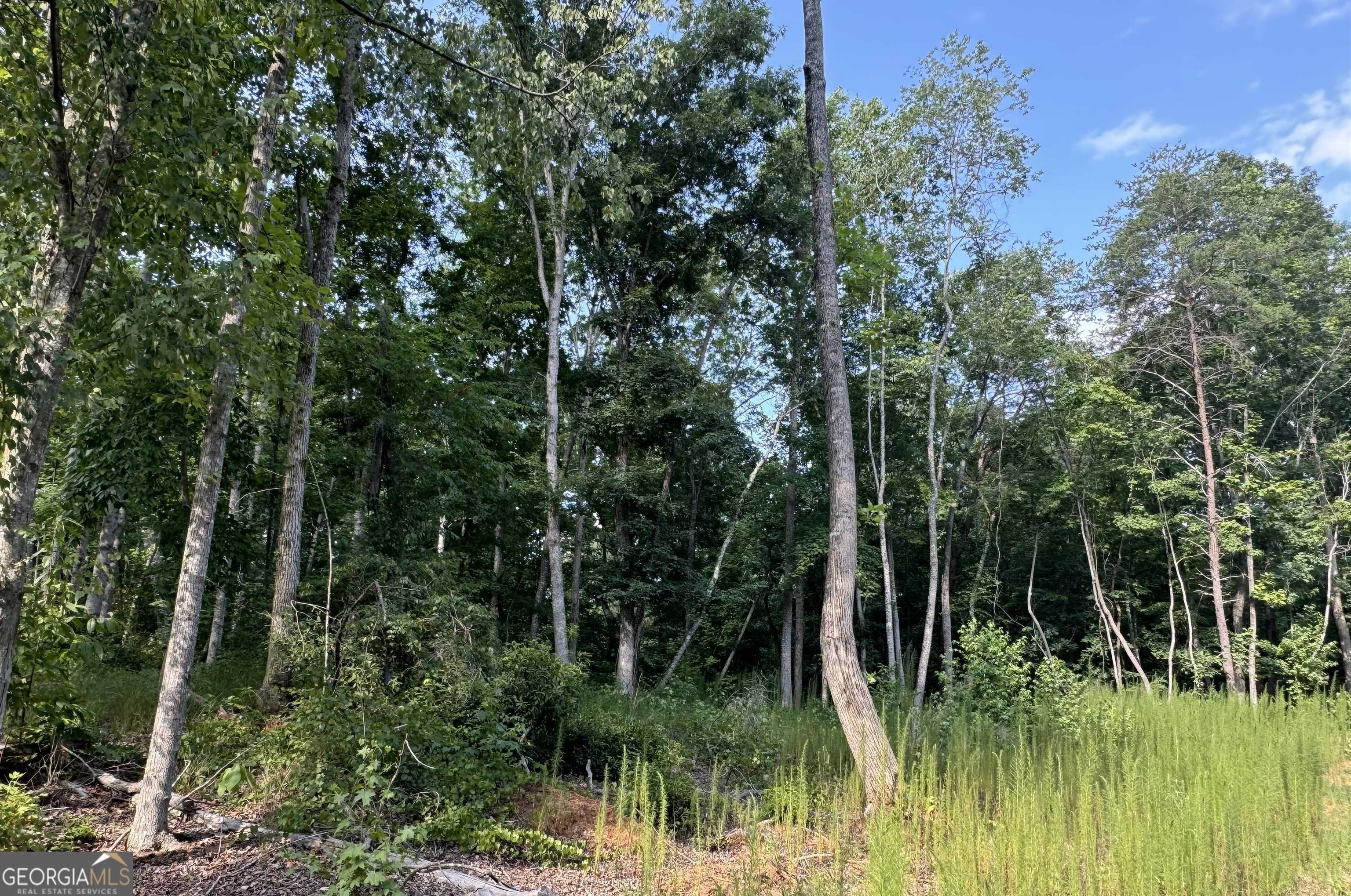 Cornelia, GA 30531,LOT 6 Parker PT