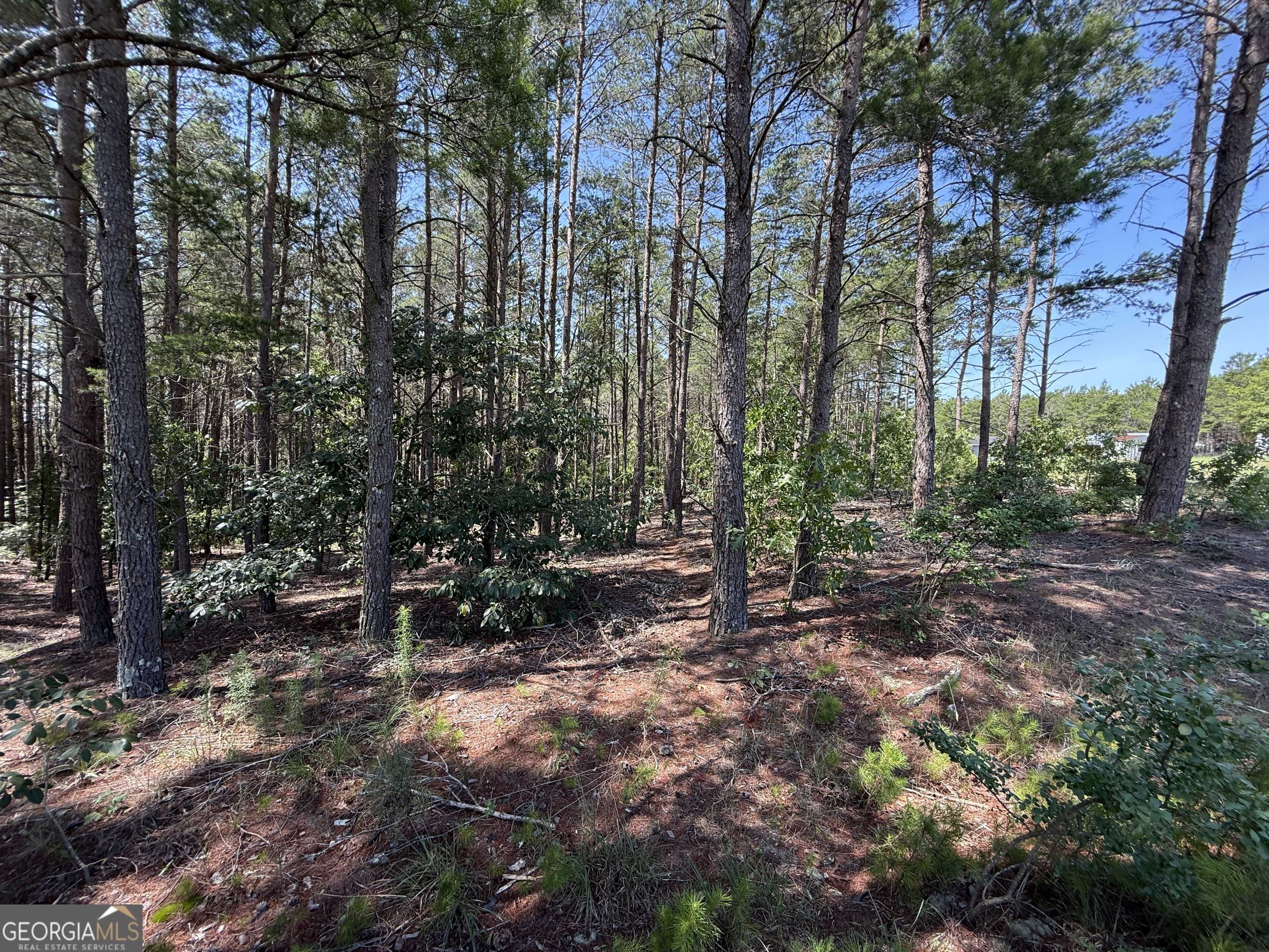 Roberta, GA 31078,12.1 ACRES Jackson RD