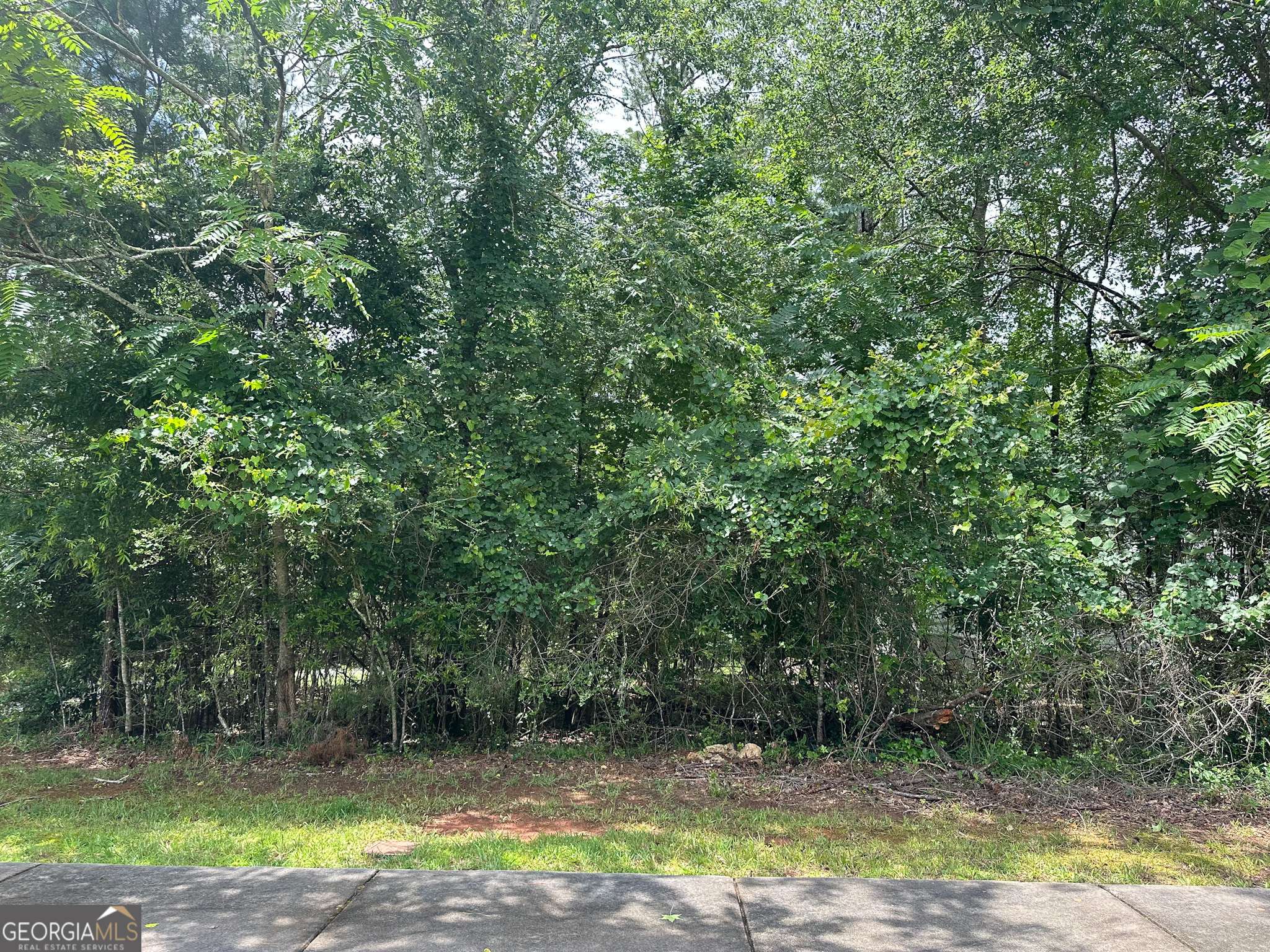 Madison, GA 30650,1361 Arborgate ST