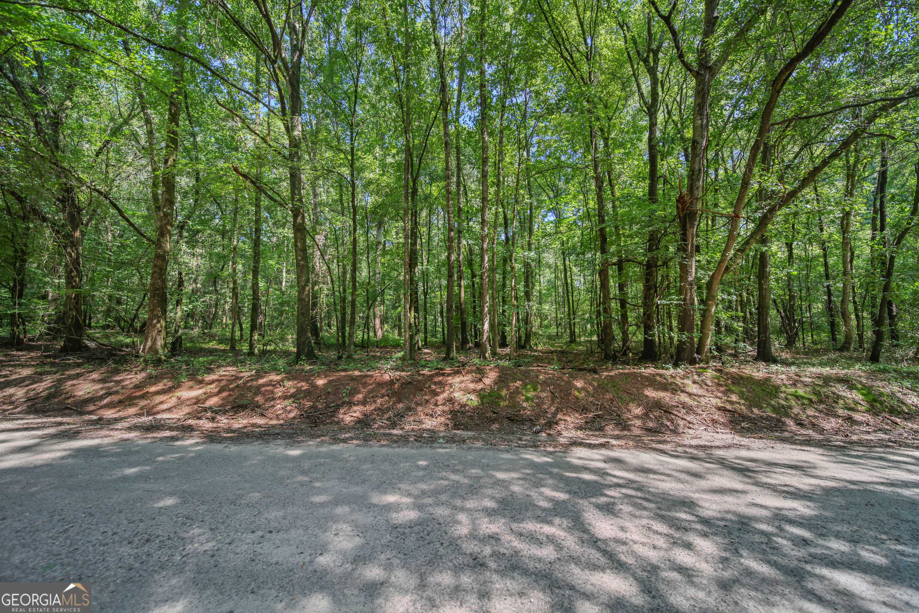 Commerce, GA 30530,LOT 2 Lord RD