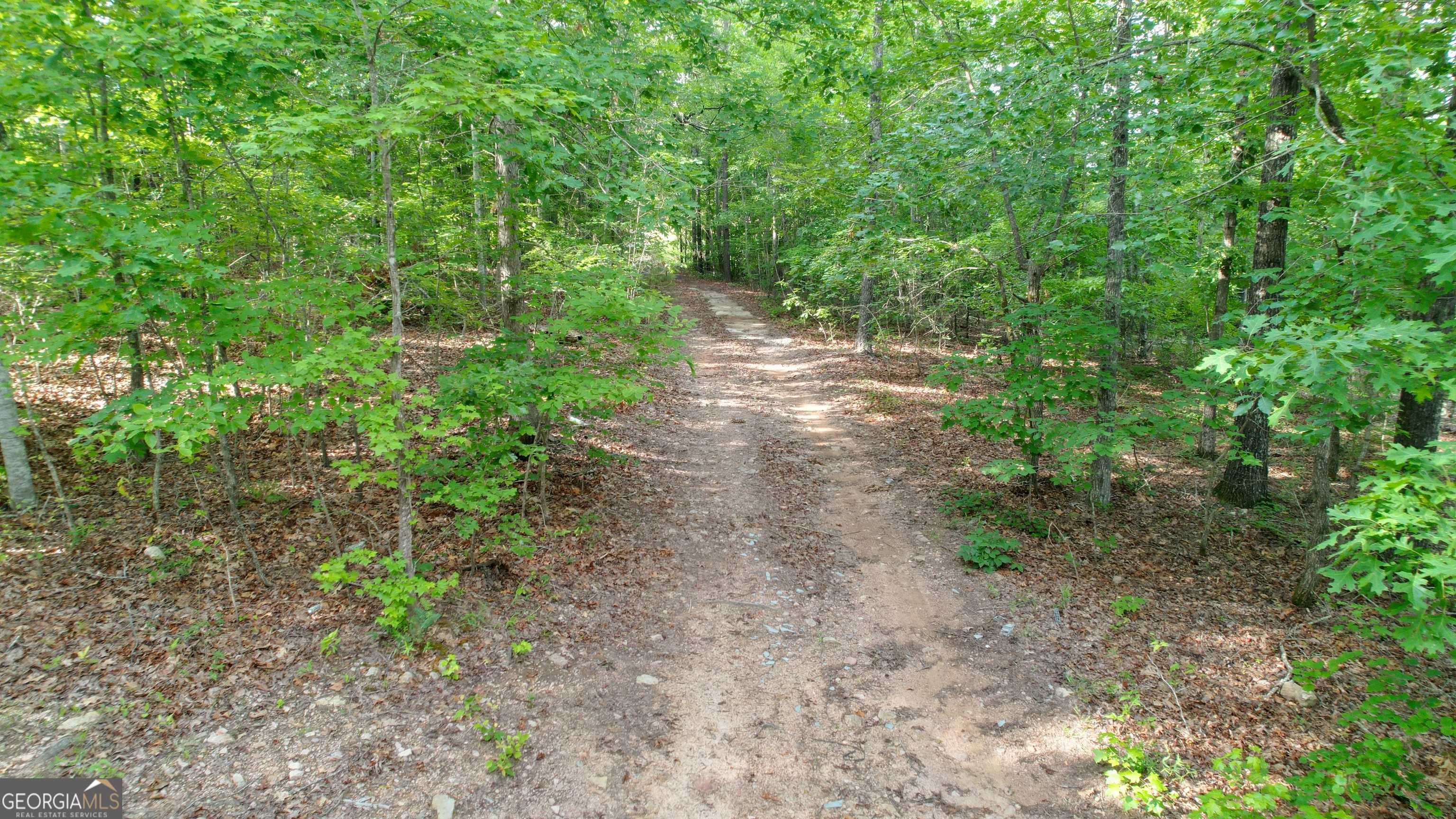Molena, GA 30258,1138 Smyrna Church RD
