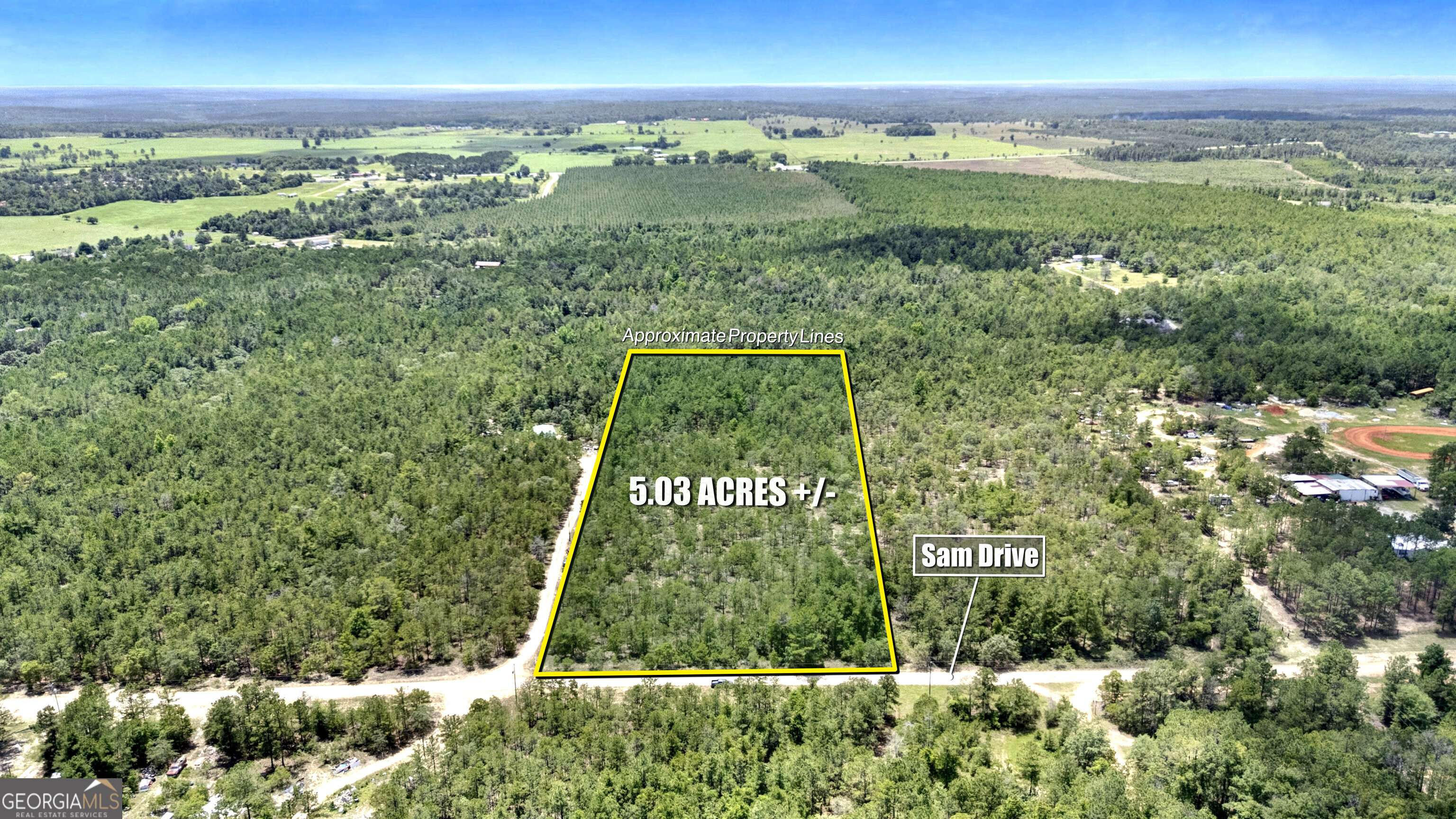 Mauk, GA 31058,0 Sam DR