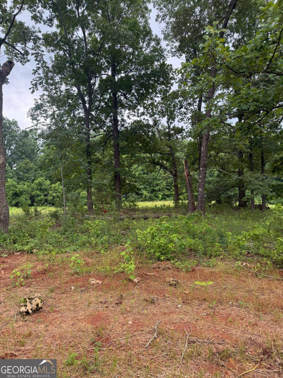 Cumming, GA 30028,LOT 2 HARVEST WAY