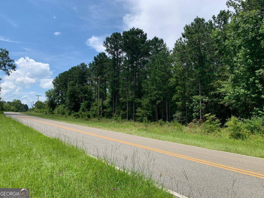 Dublin, GA 31021,0 Rock Springs RD