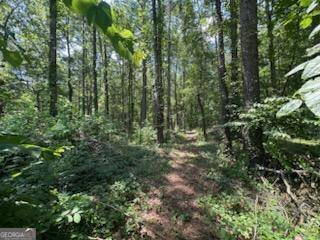 Rome, GA 30165,0 Charleston DR NW