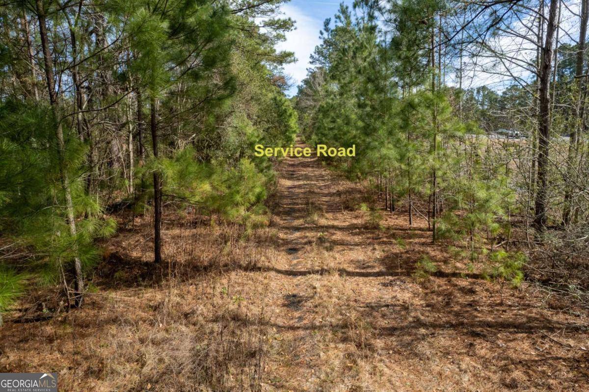 Savannah, GA 31419,0 Abercorn EXT