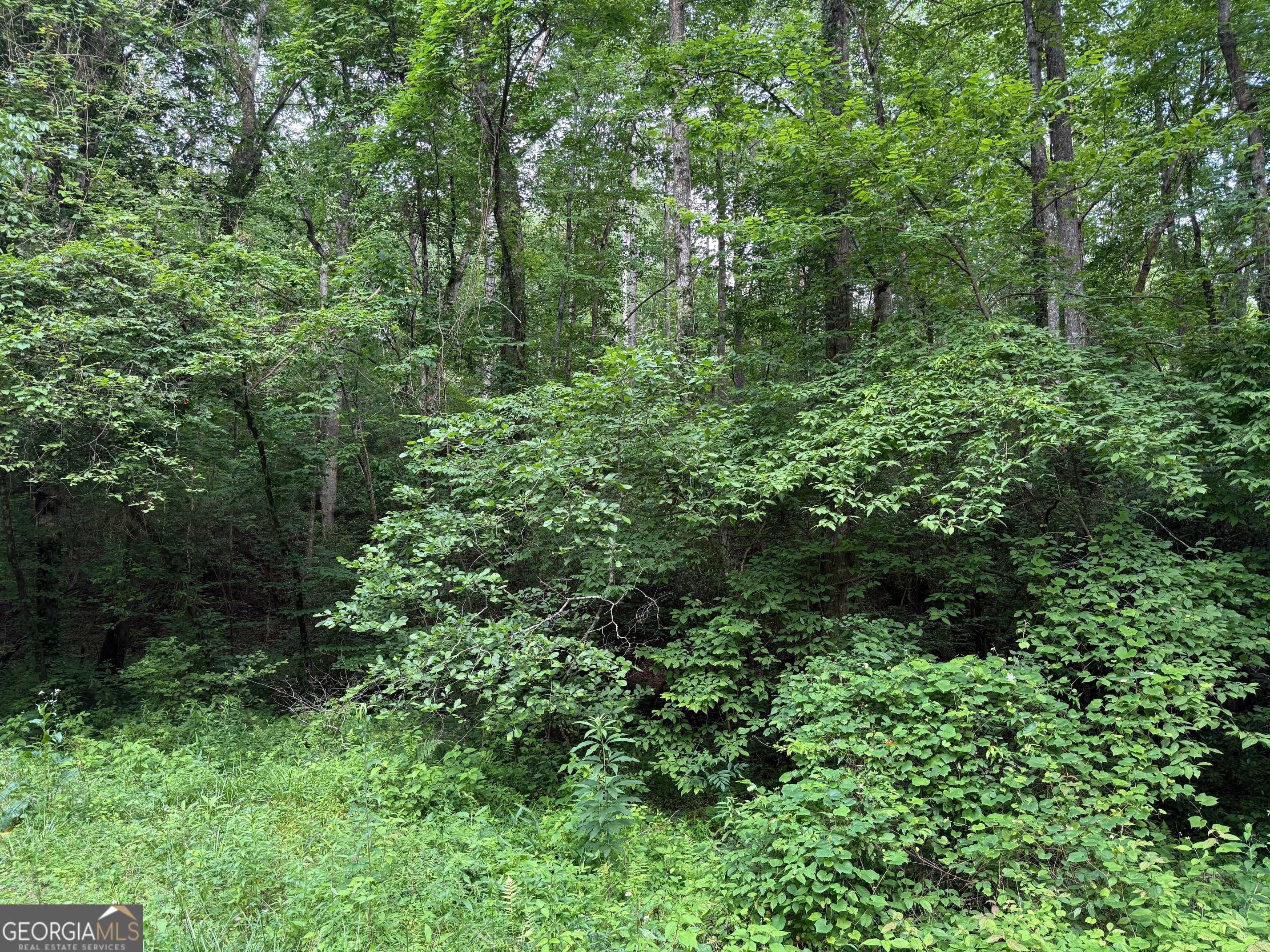 Ellijay, GA 30540,604 Nugget LN