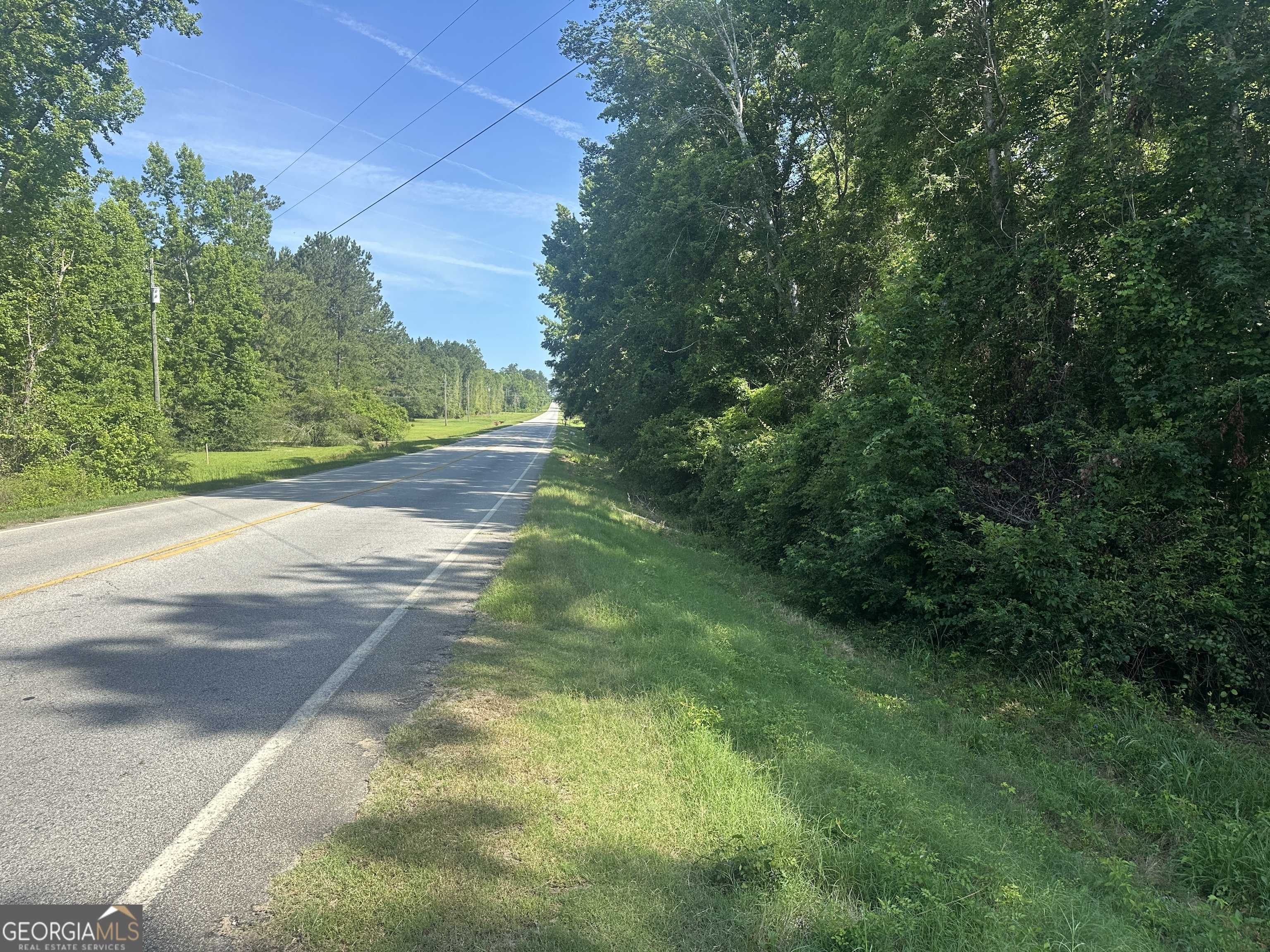 Sylvania, GA 30467,0 Waynesboro HWY