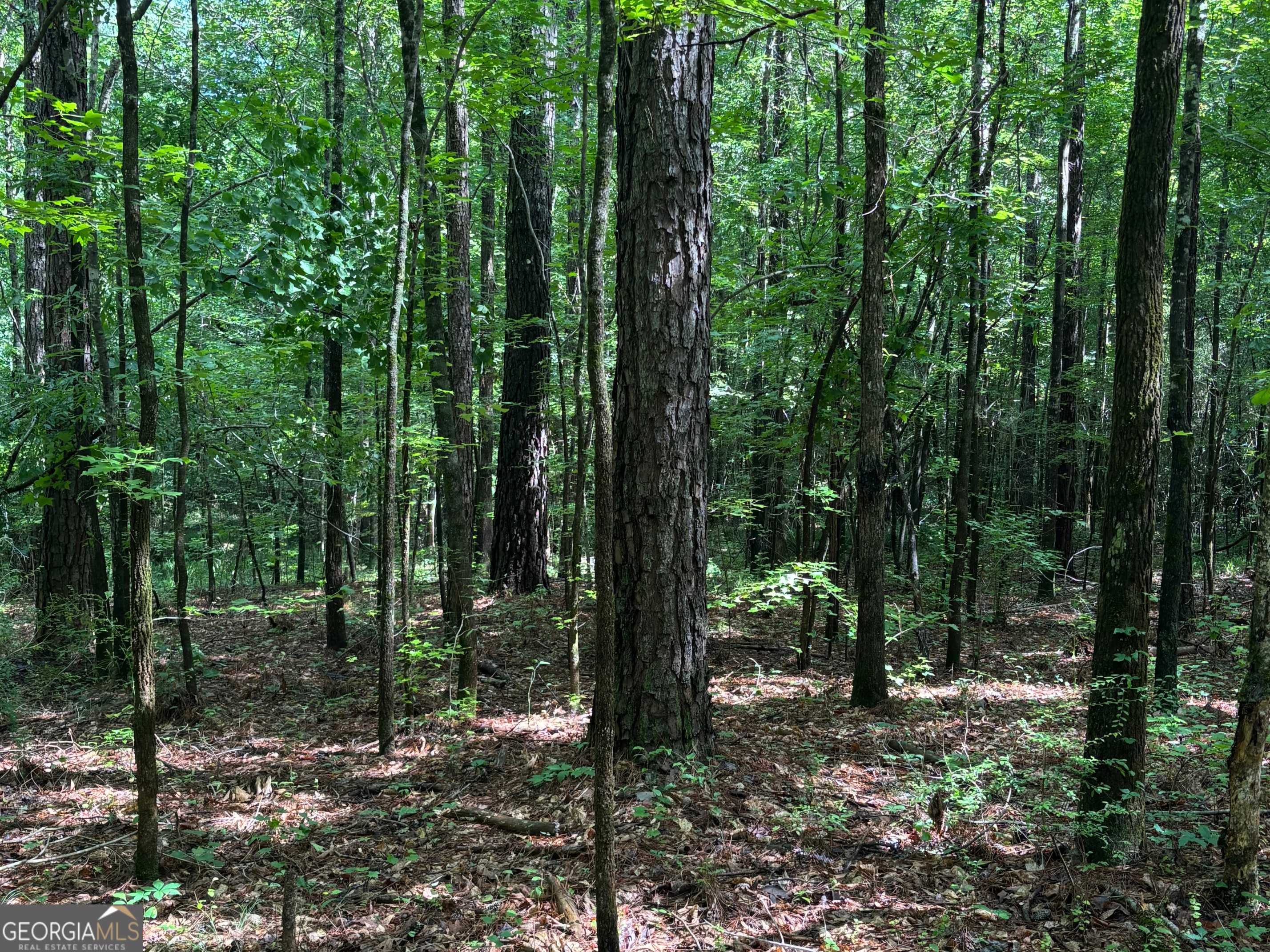 Lanett, AL 36863,0 County Road 85
