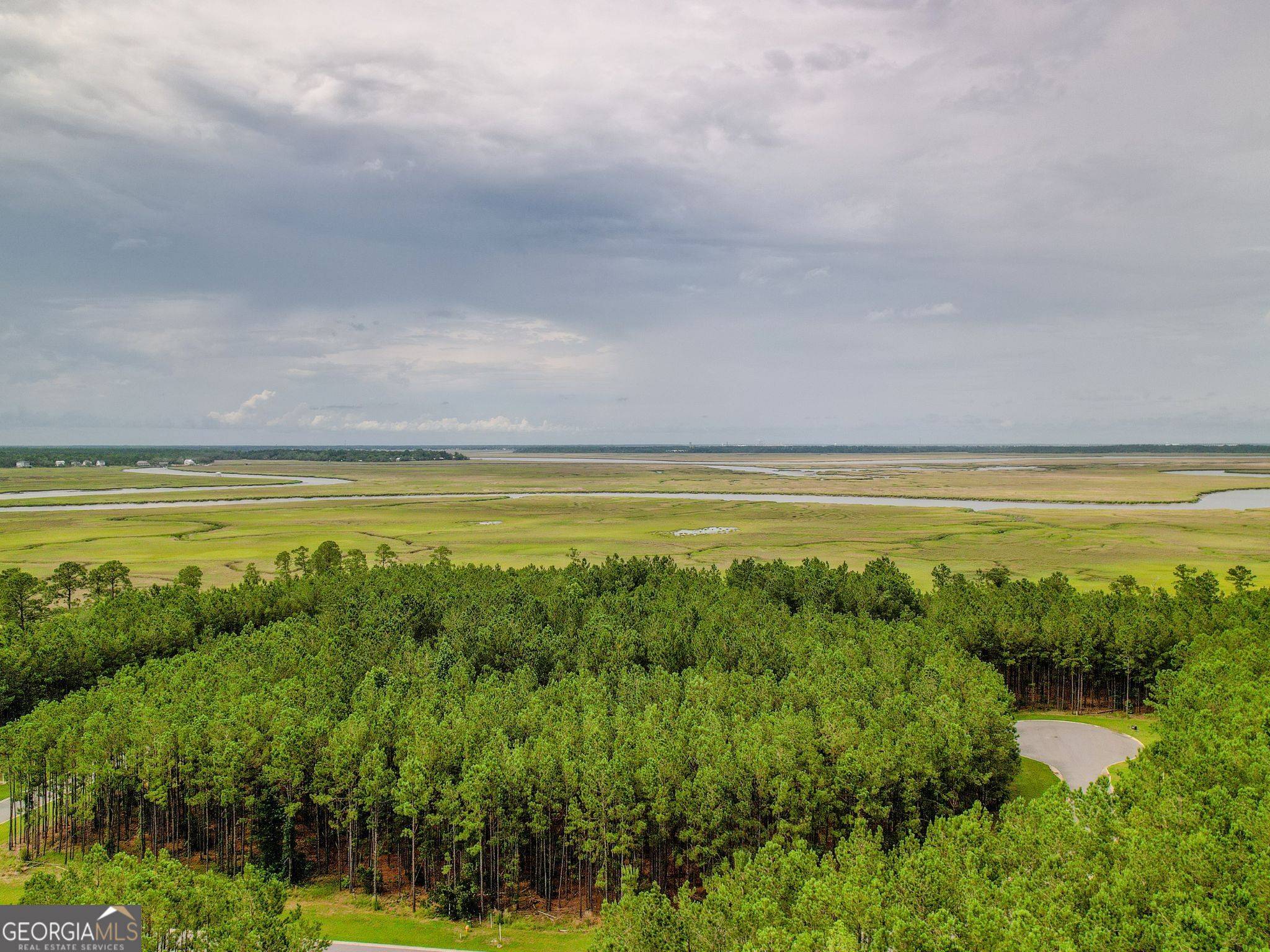 Waverly, GA 31565,LOT 35 Sea Turtle LN