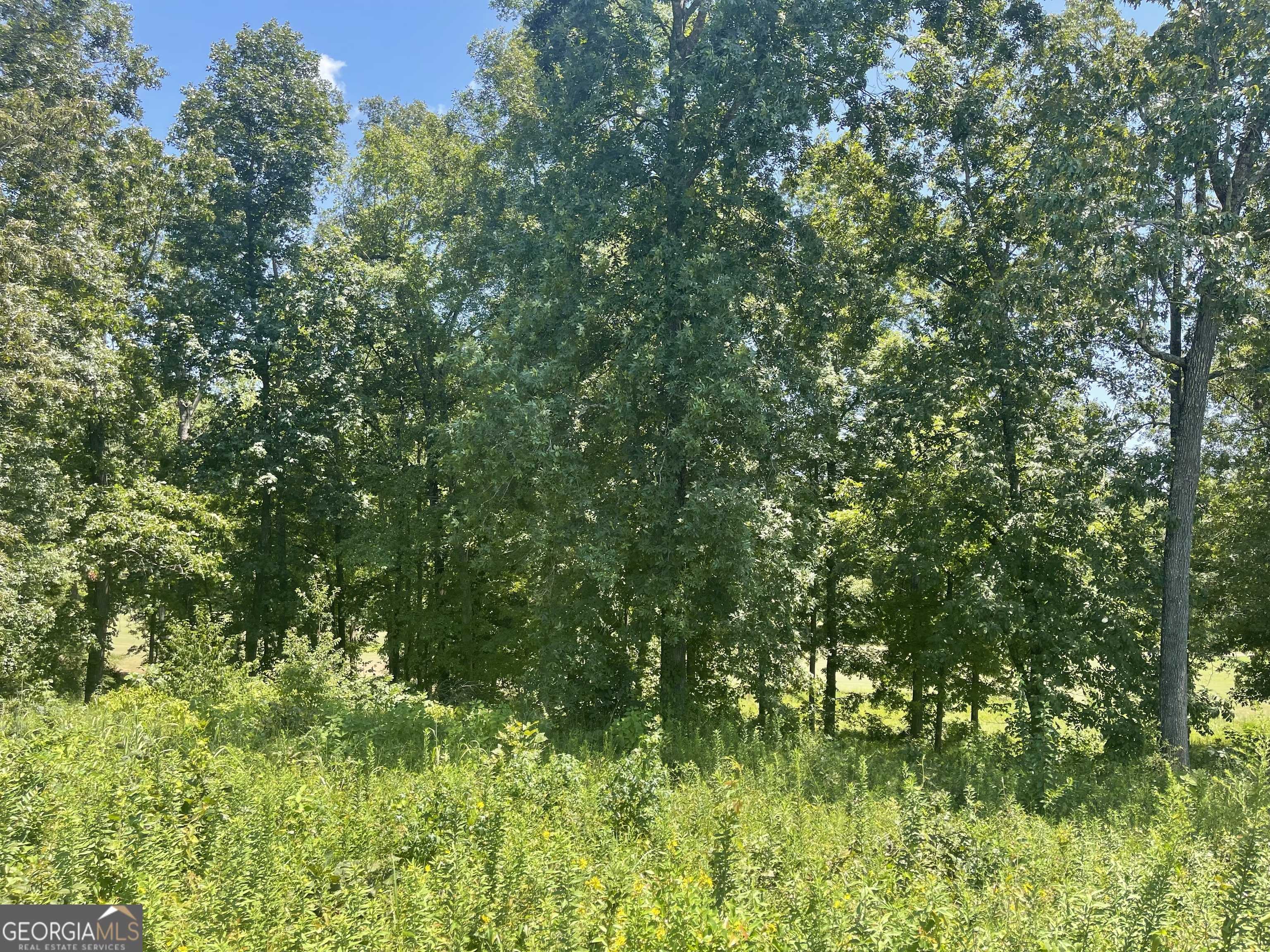 Hawkinsville, GA 31036,LOT 11 Oak DR