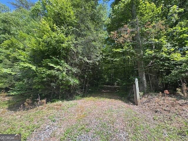 Ellijay, GA 30536,0 Big Creek RD