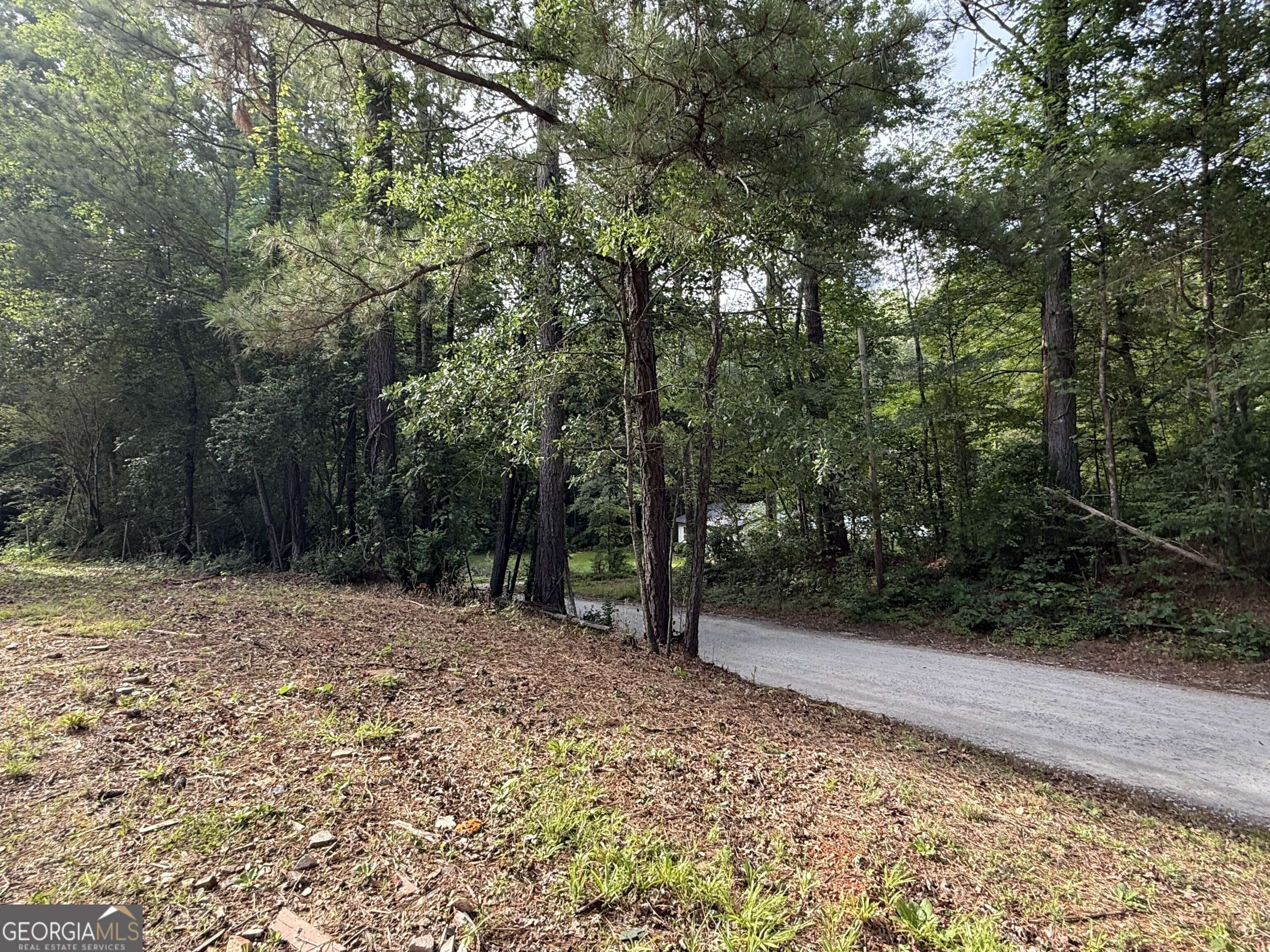 Winston, GA 30187,8759 Watkins Mill RD