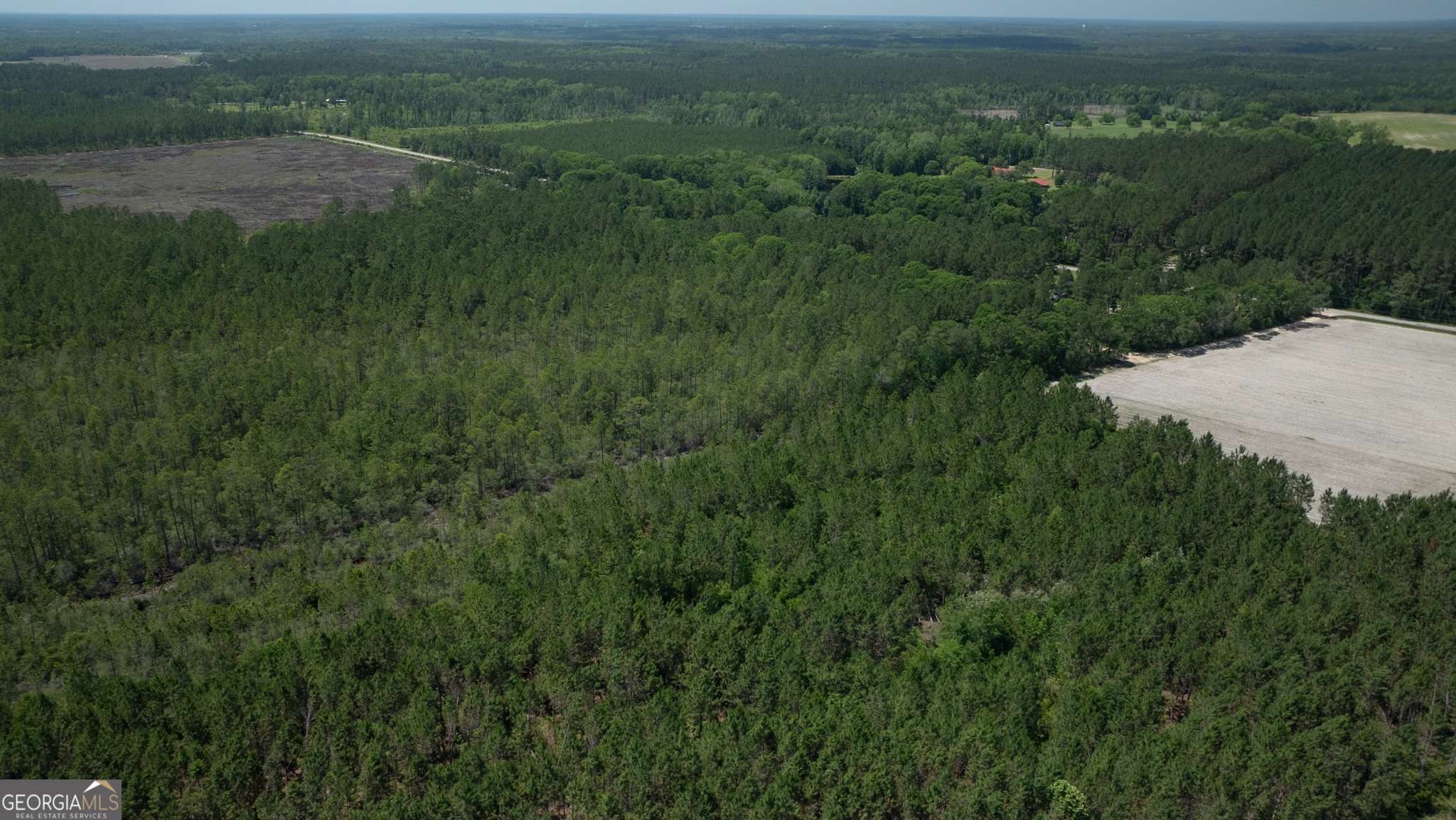 Claxton, GA 30417,64.65 AC Bay Branch Church Road