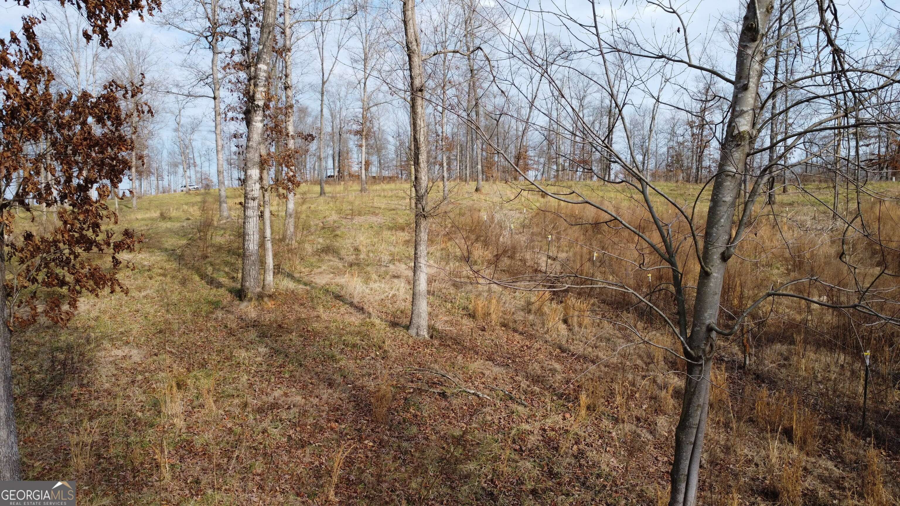 Cornelia, GA 30531,1.70 ACRES Garrison RD