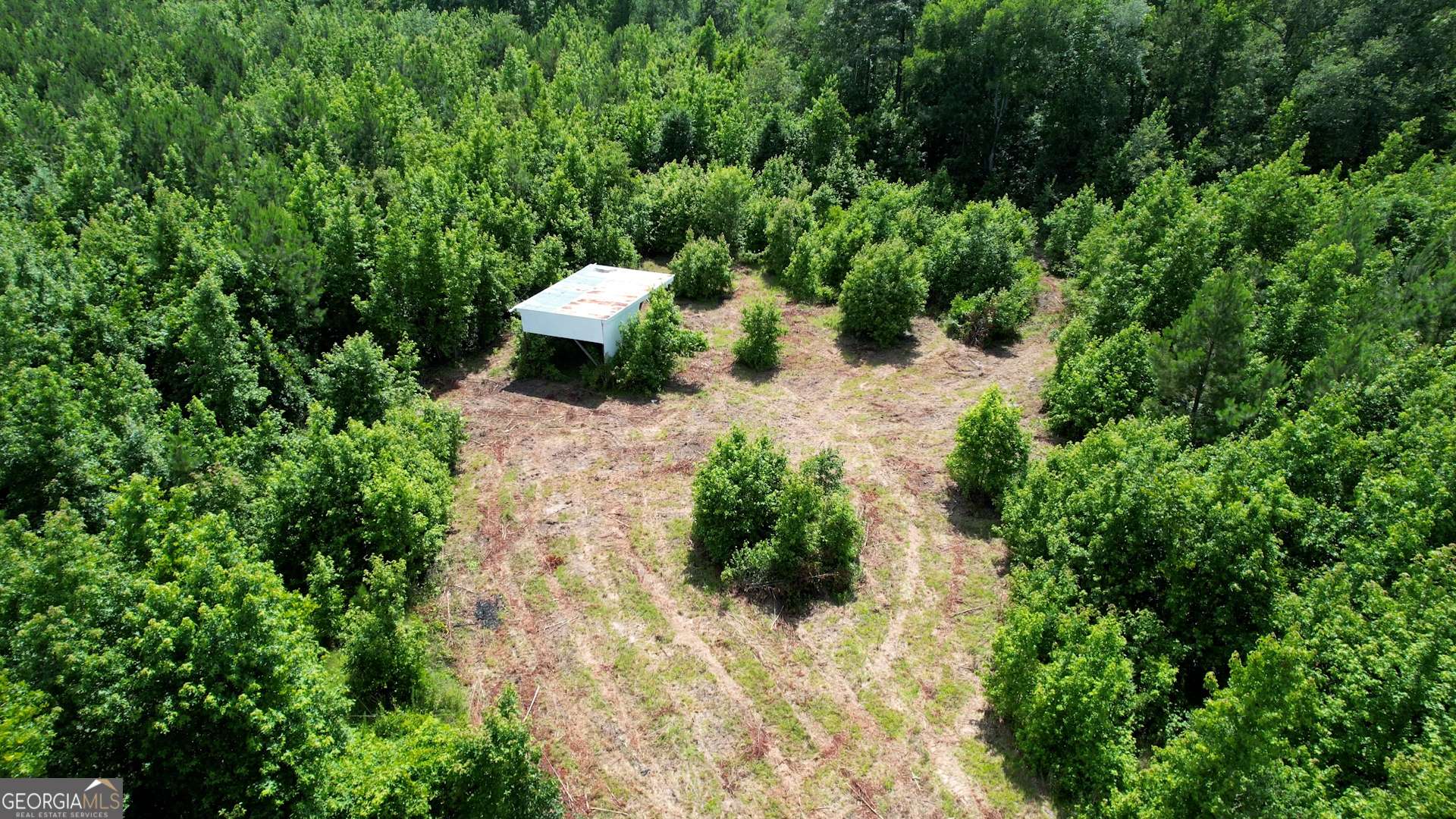 Greensboro, GA 30642,2131 Grey Land RD