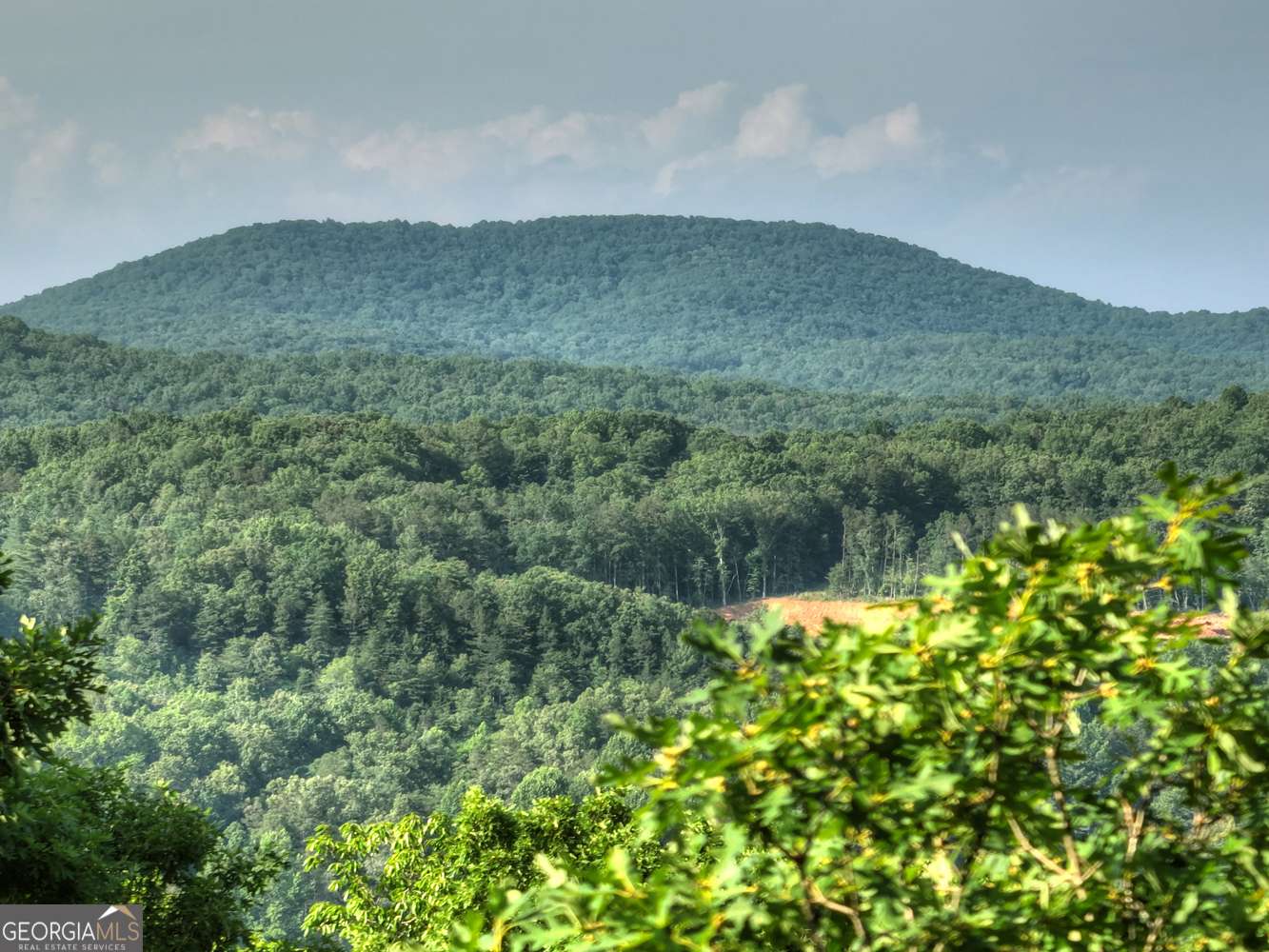 Morganton, GA 30560,0 Walker Drive