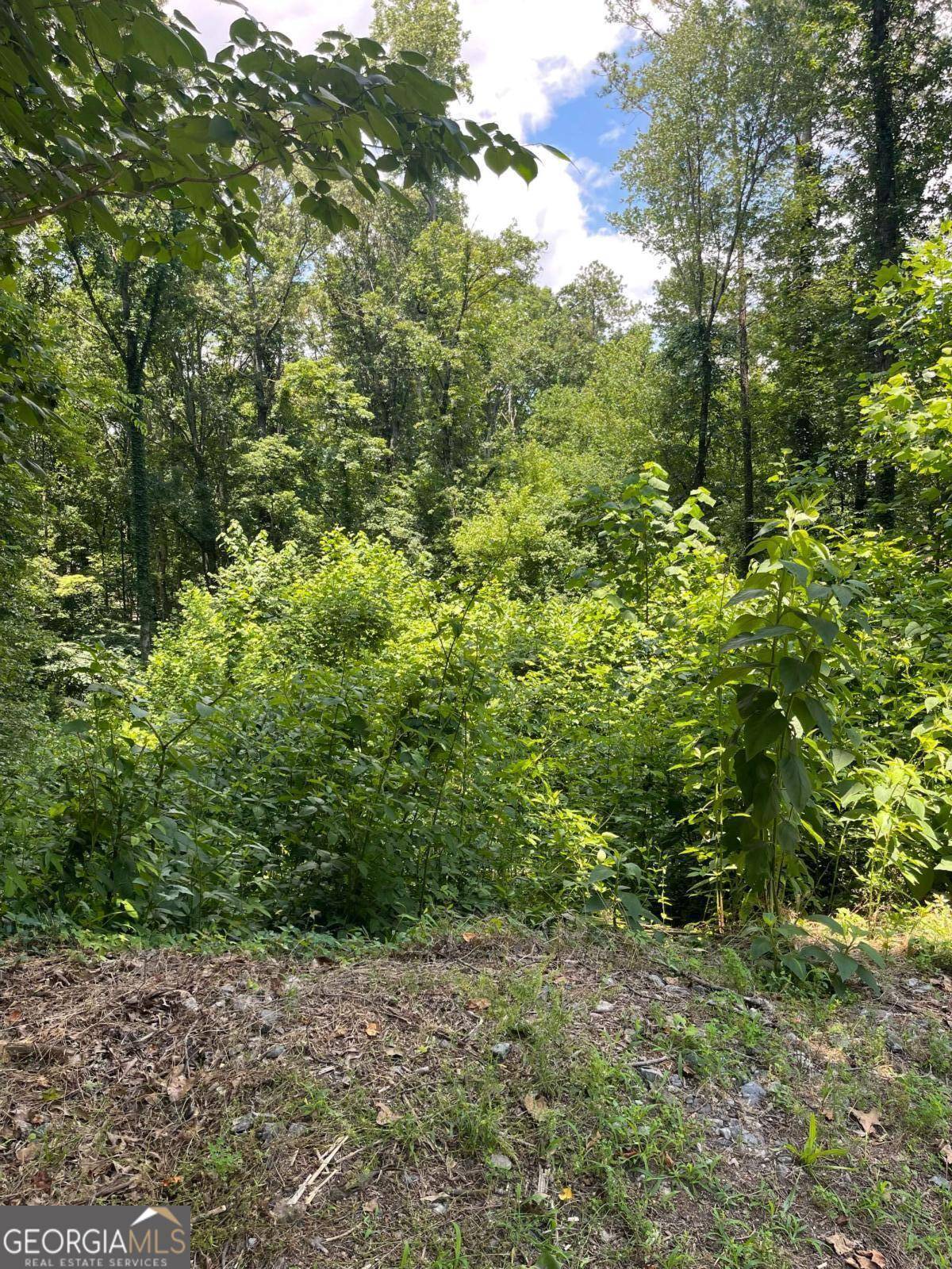 Woodstock, GA 30188,609 Ann Court