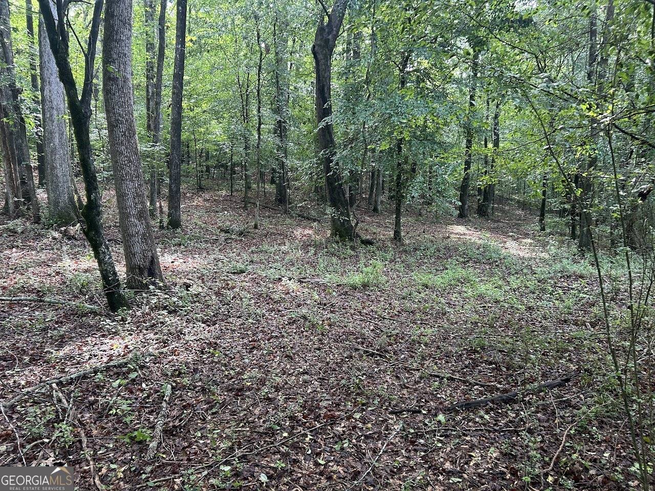 Bowdon, GA 30108,370 Butler RD