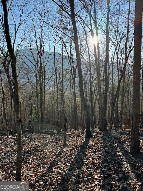 Sautee Nacoochee, GA 30571,0 Moon CIR #21