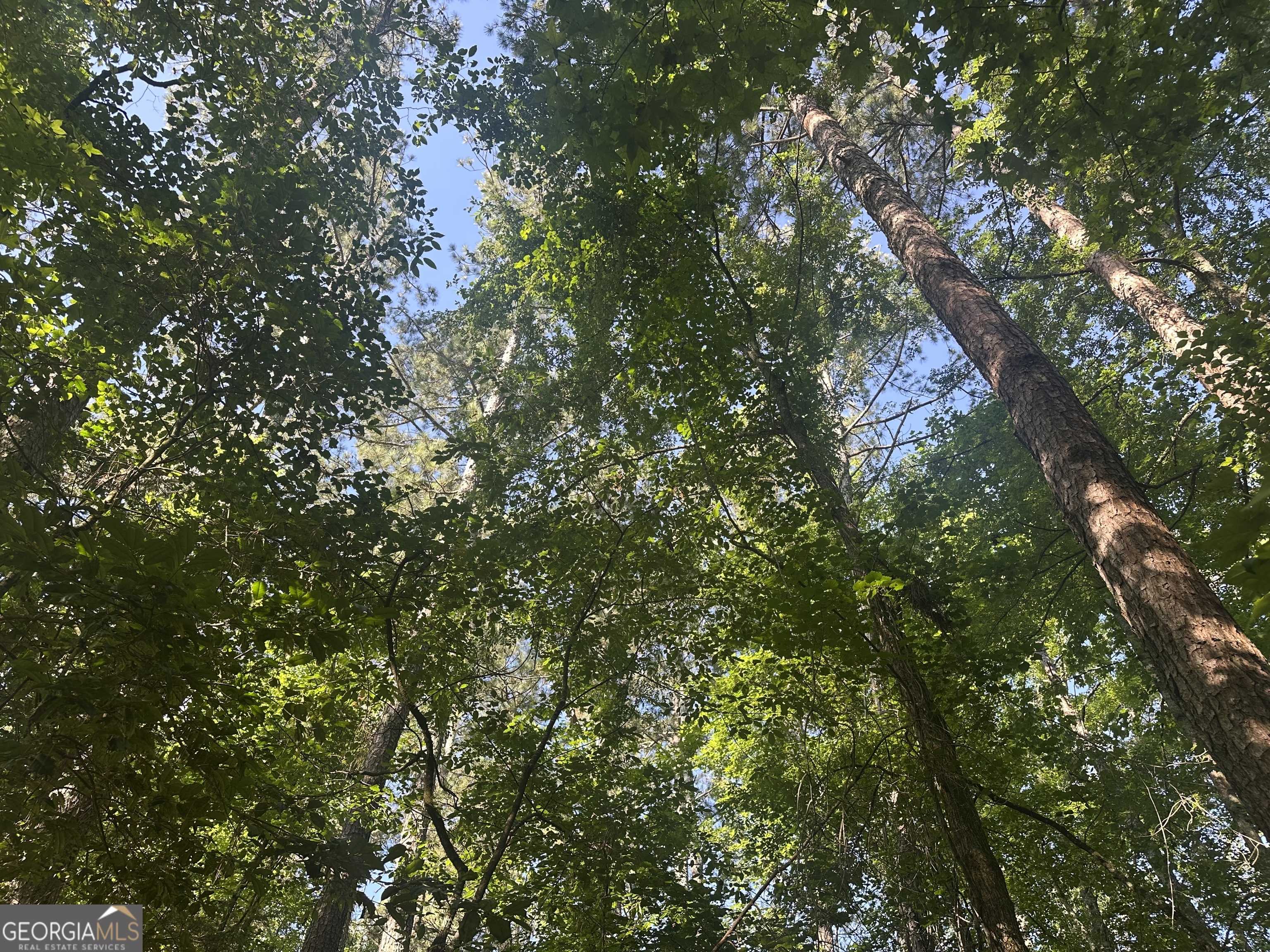Carlton, GA 30627,0 Highway 72 E