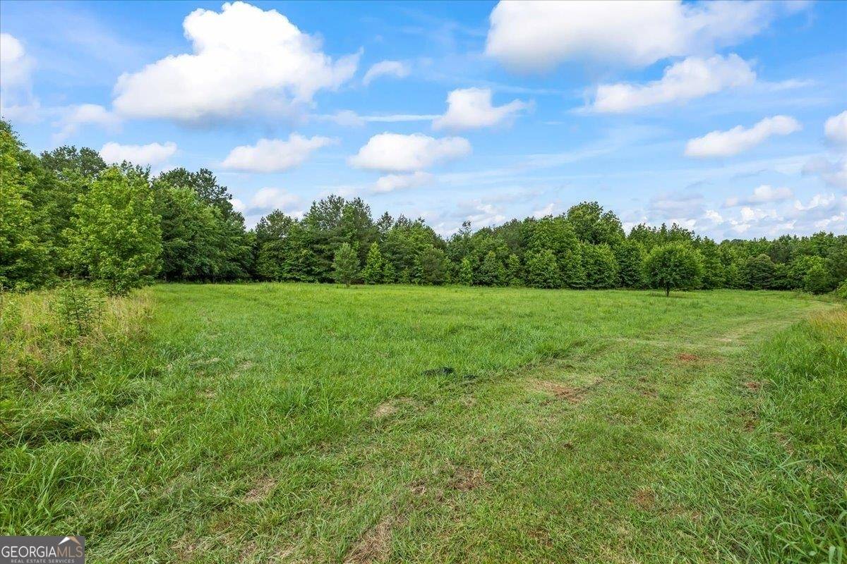 Madison, GA 30650,0 Creekview DR