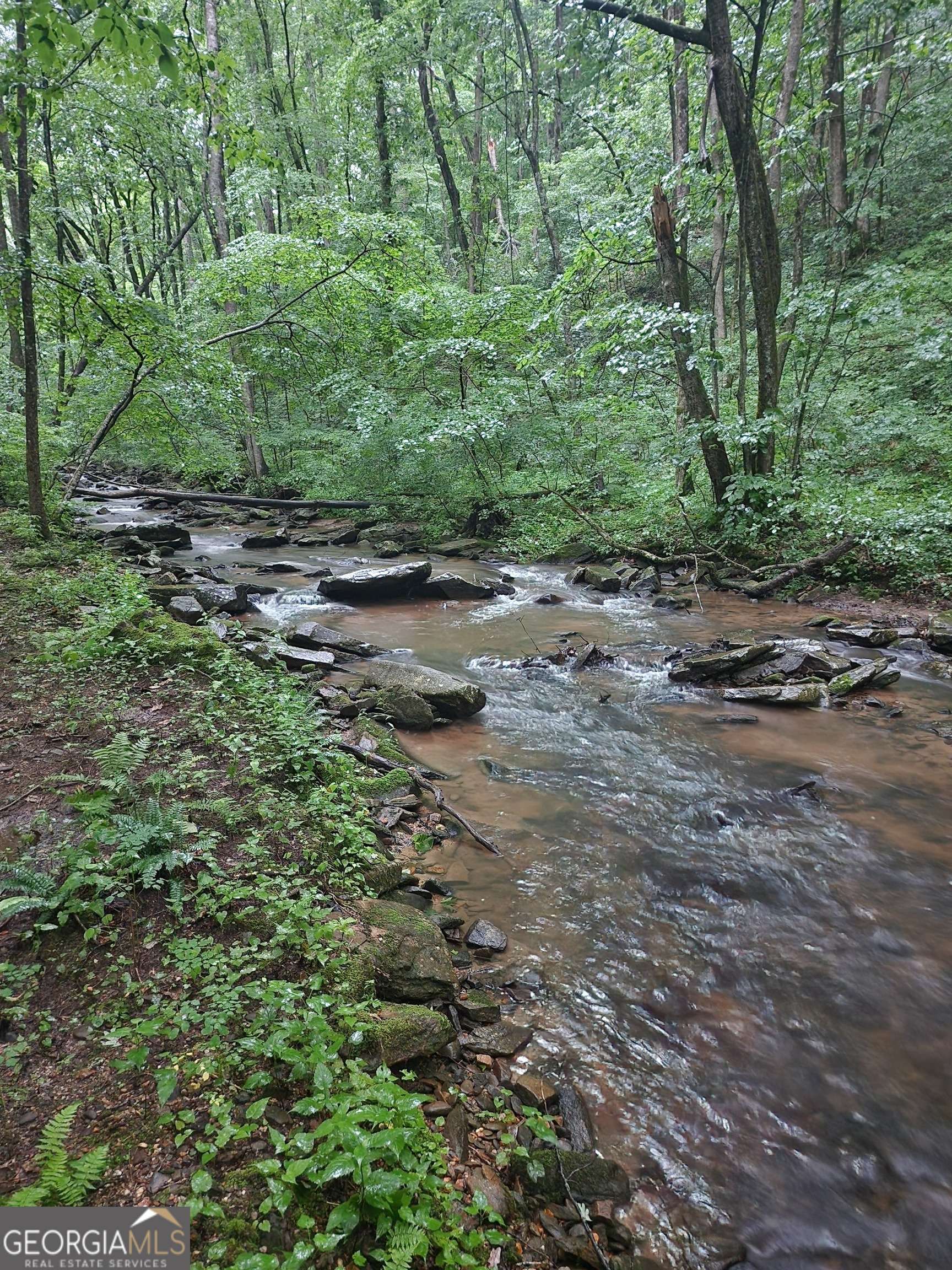 Ellijay, GA 30536,0 Northview Pkwy #LT 211