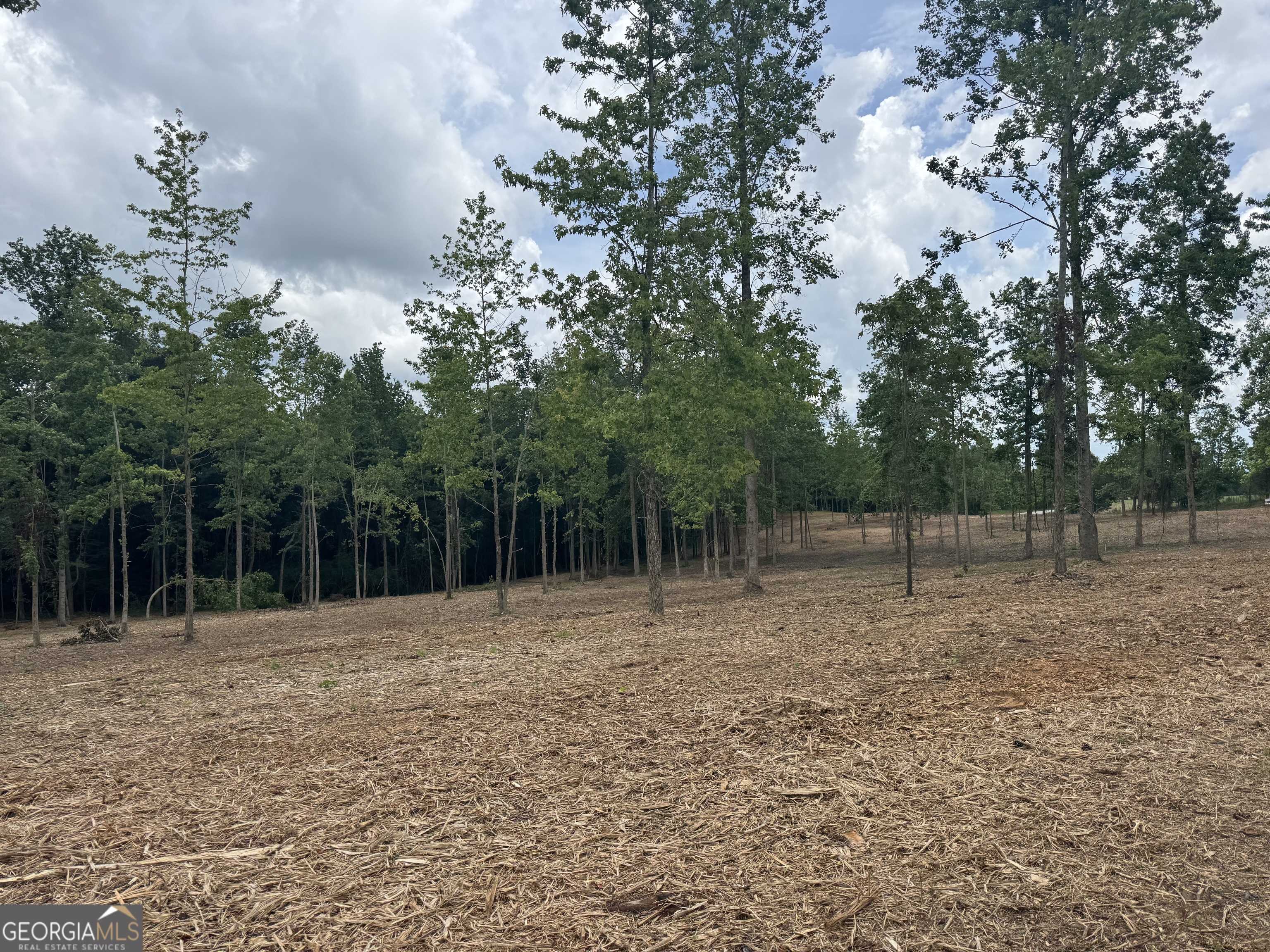Roopville, GA 30170,LOT 1 Happy Hollow RD