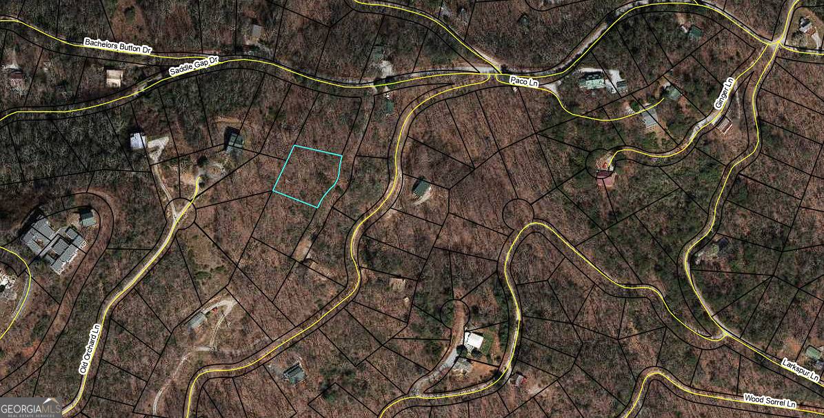 Clayton, GA 30525,LT 547 Saddle Gap DR