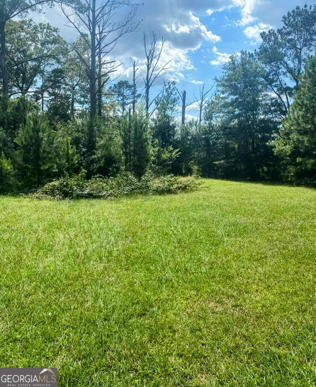 Buena Vista, GA 31803,762 Aldridge RD