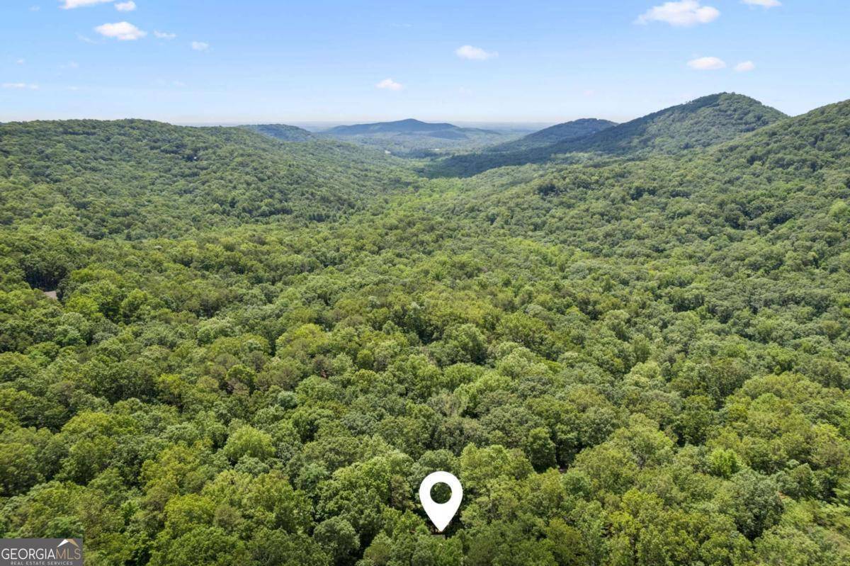 Big Canoe, GA 30143,87 Bluebell CIR S