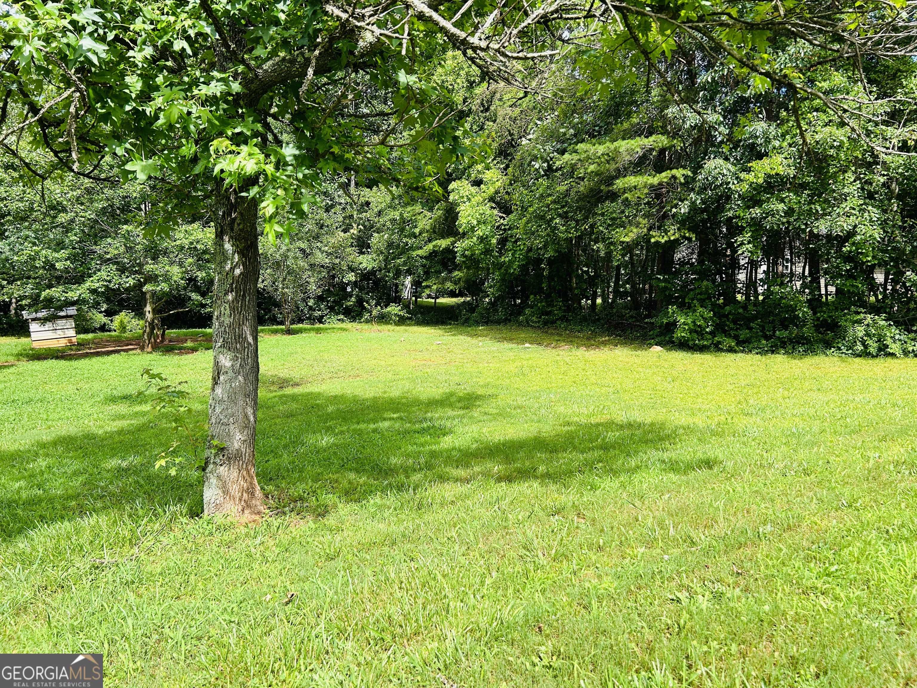 Mount Airy, GA 30563,766 Wild Rose LN