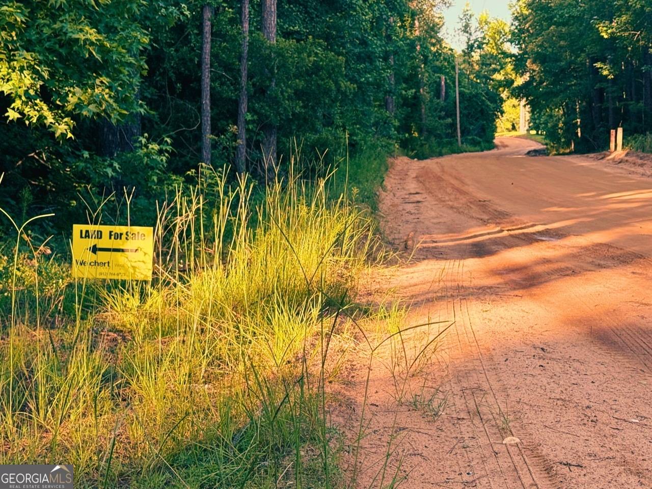 Metter, GA 30439,1172 Indigo Road