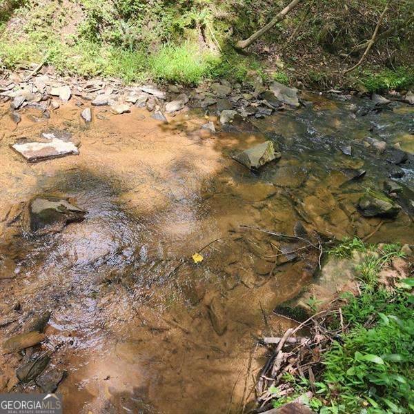 Ellijay, GA 30540,0 Woodstone TRL