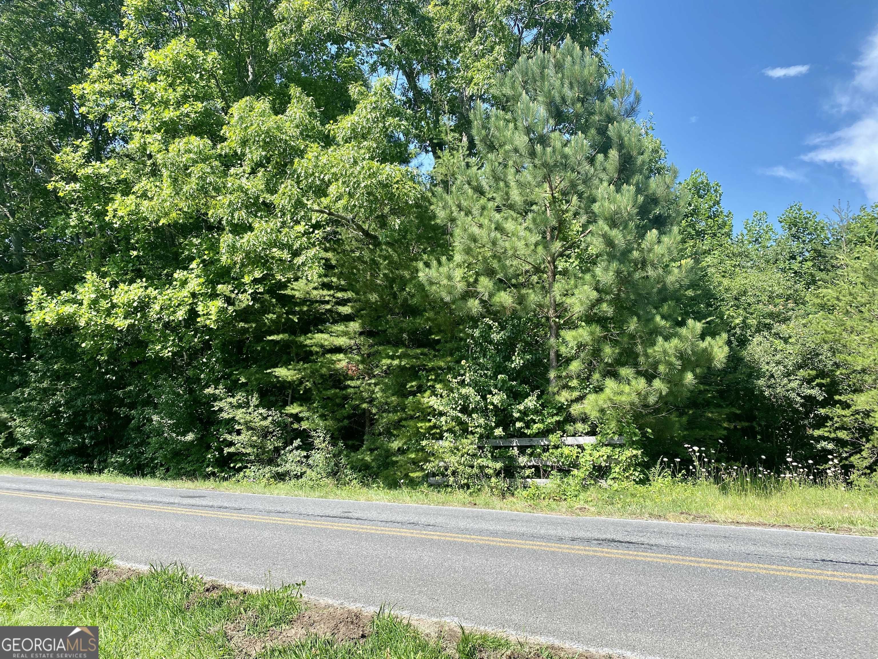 Ellijay, GA 30540,0 Flat Branch RD #D
