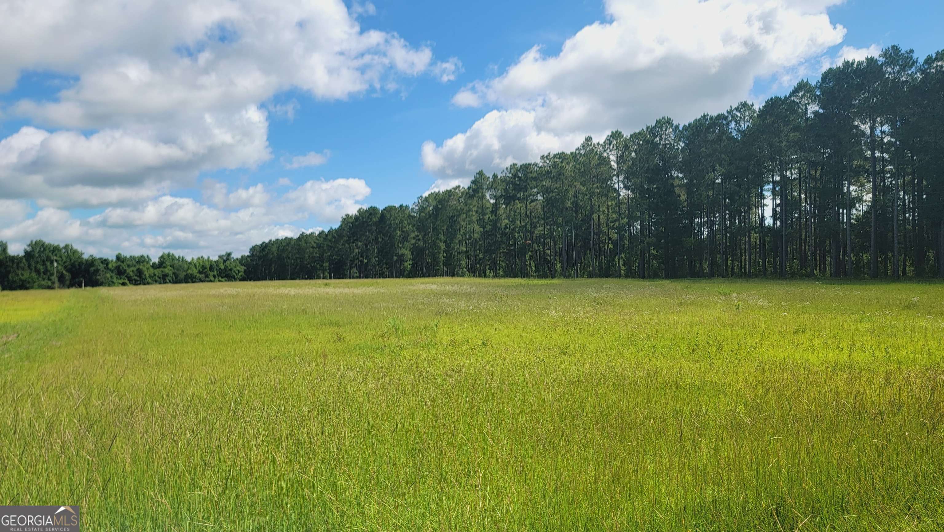 Reynolds, GA 31076,0 Briar Patch WAY