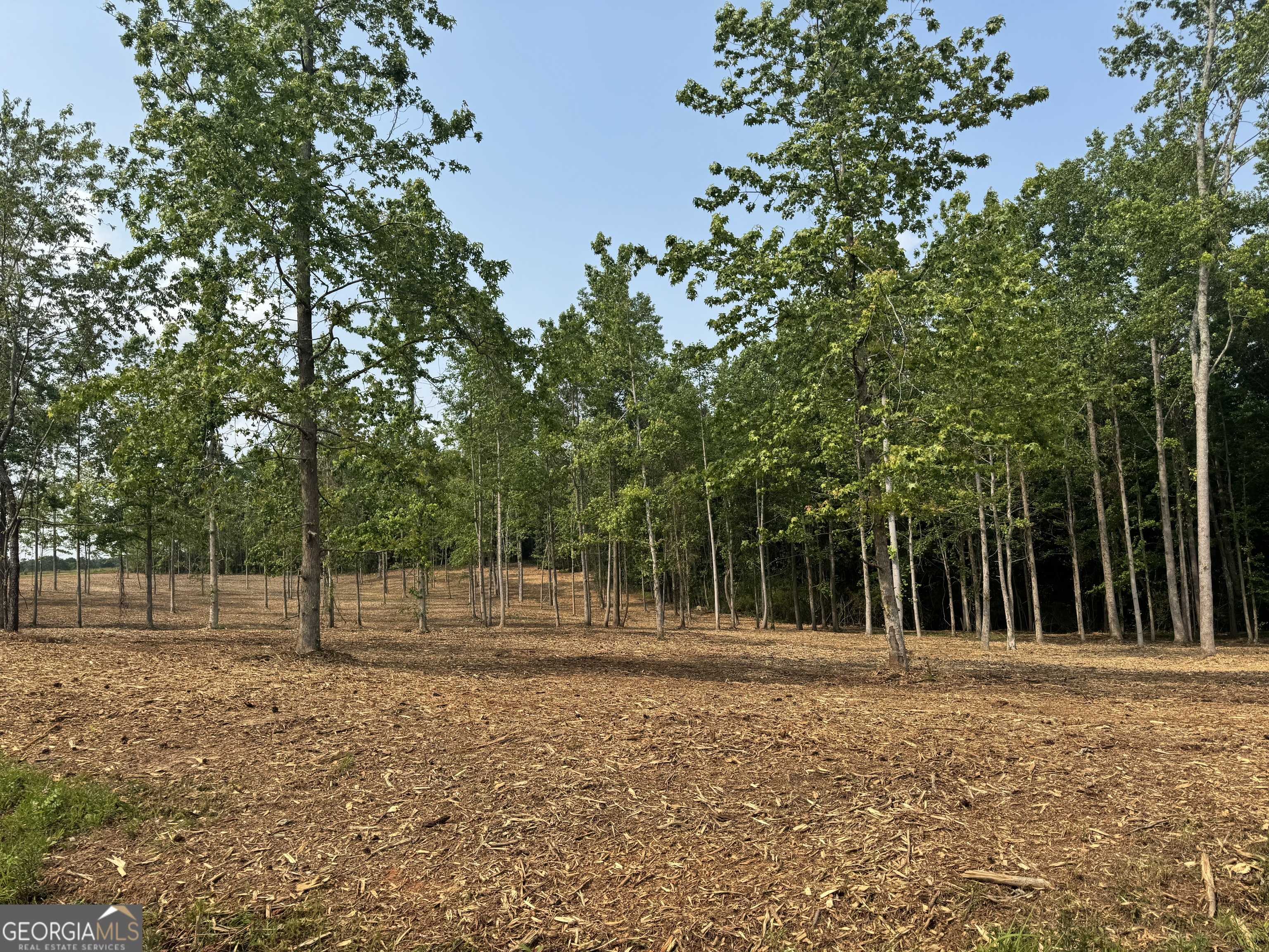 Roopville, GA 30170,LOT 2 Happy Hollow RD