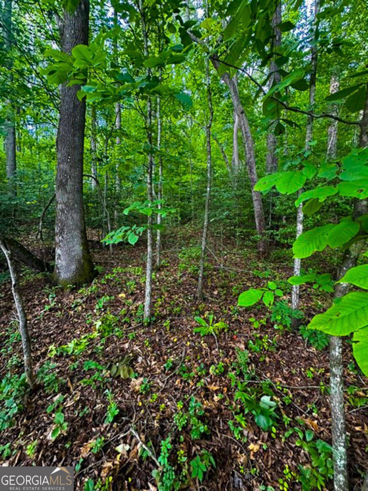 Dahlonega, GA 30533,0 Camp Wahsega Road